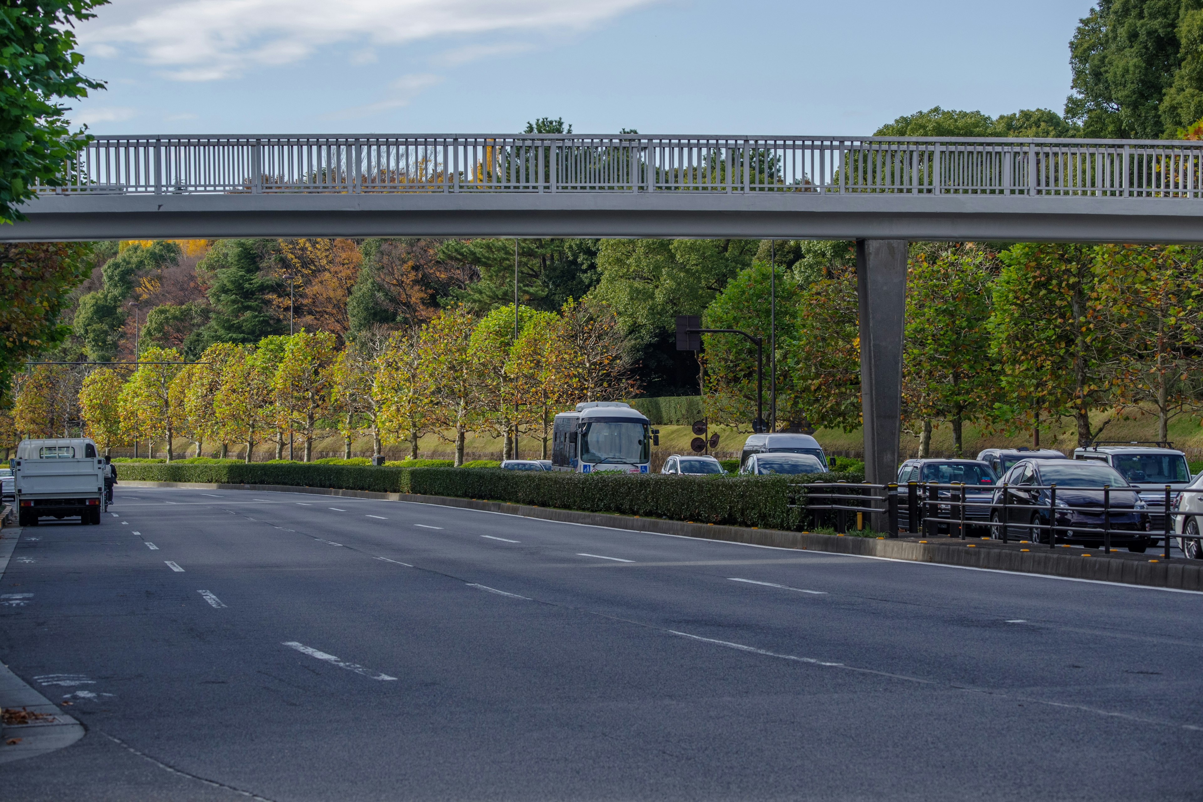 Road flanked by green trees with an overpass