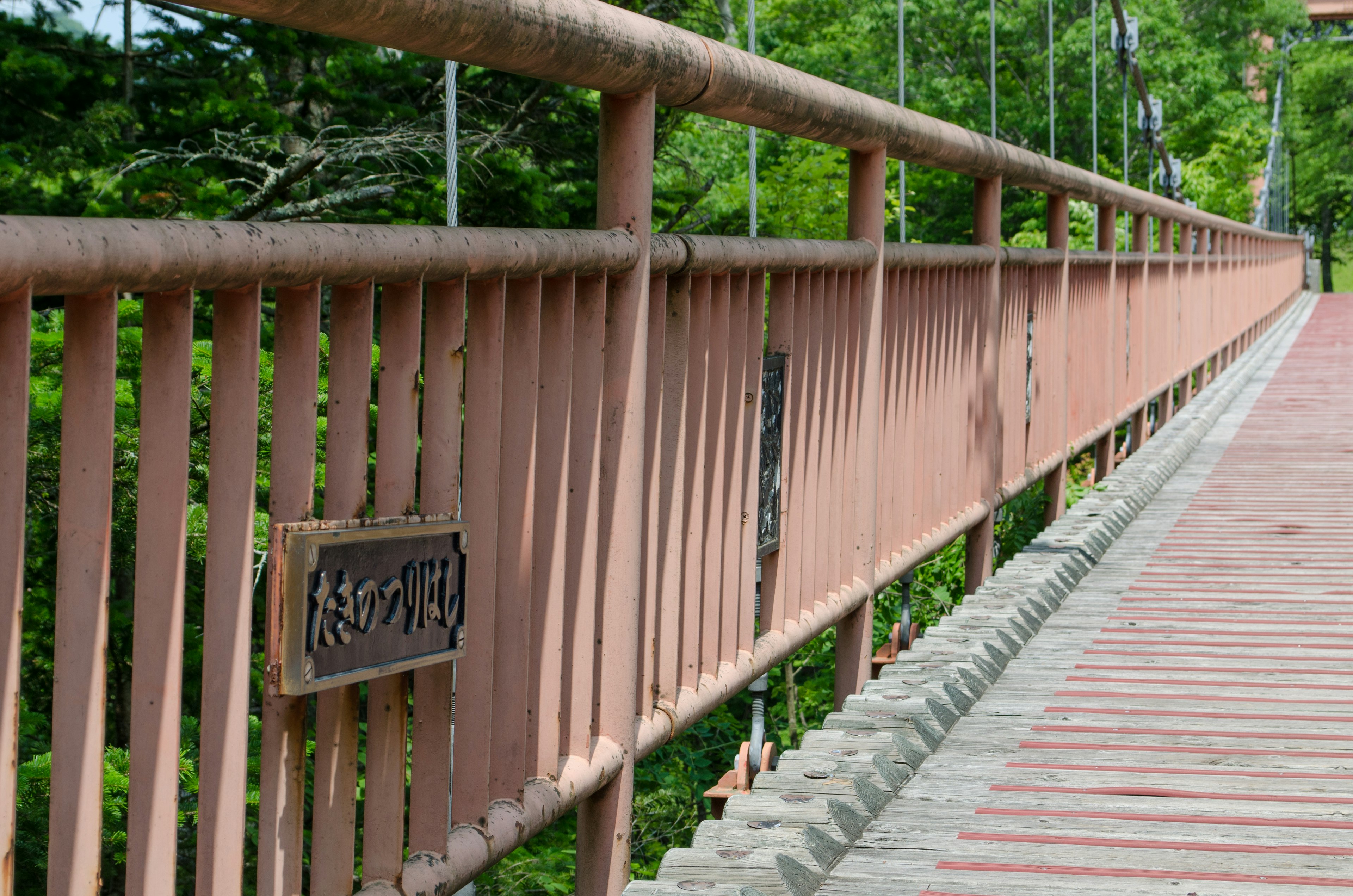 Vista di un parapetto di ponte con sfondo verde e rigoglioso