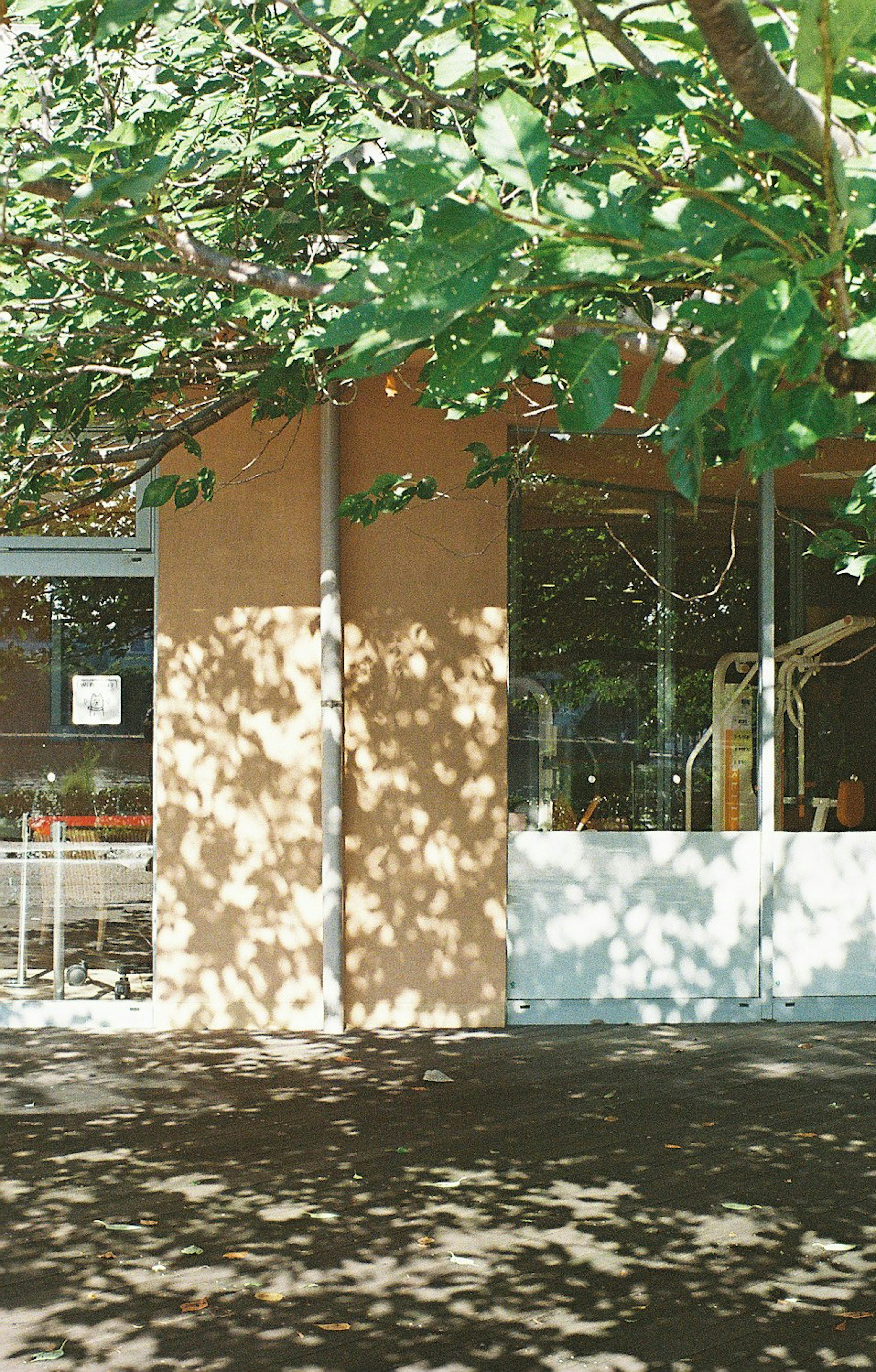 Extérieur d'un bâtiment moderne avec des ombres d'arbres