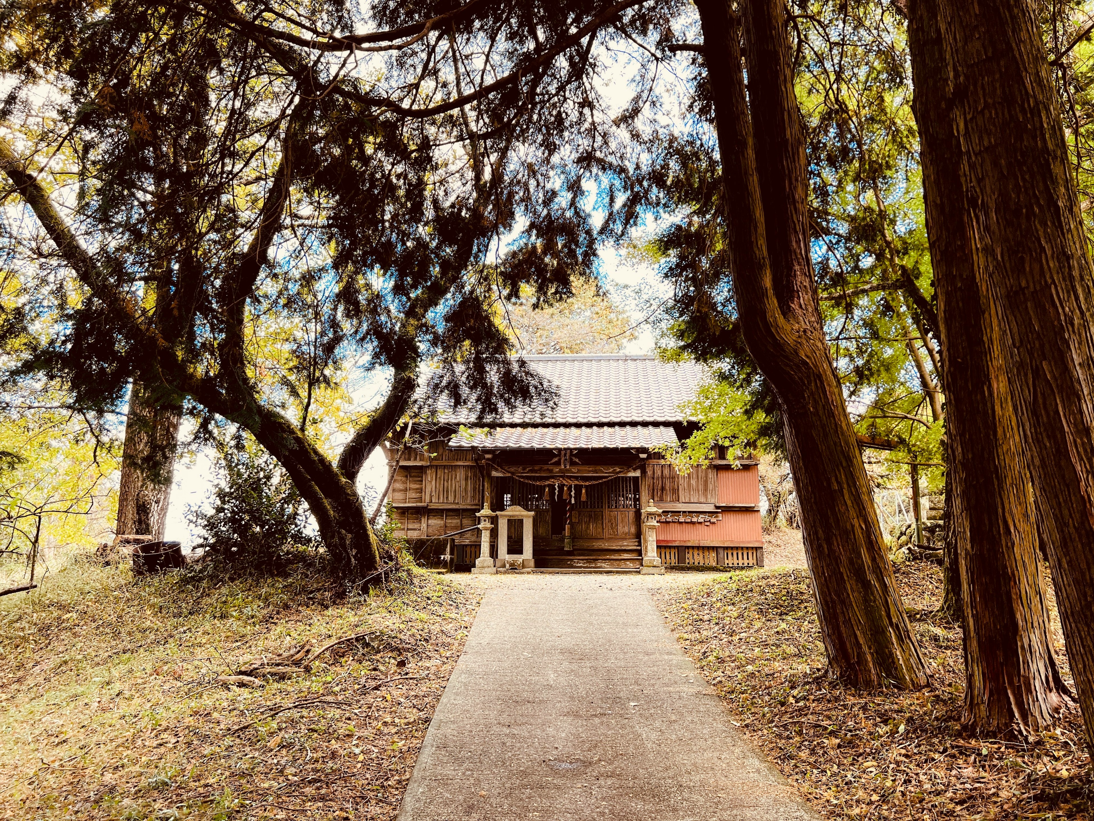 木々に囲まれた古い建物への道