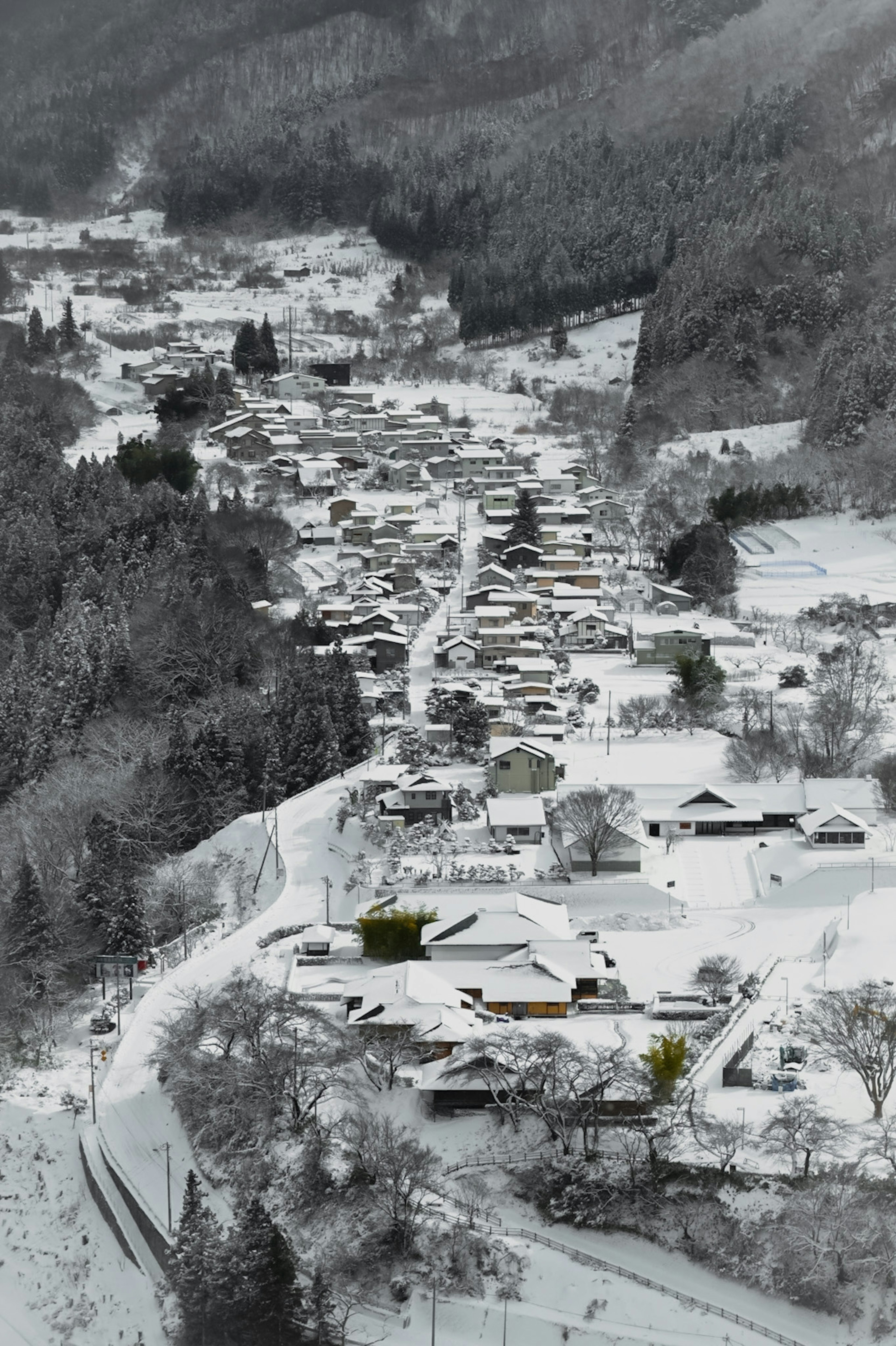 雪に覆われた村の全景と周囲の森林