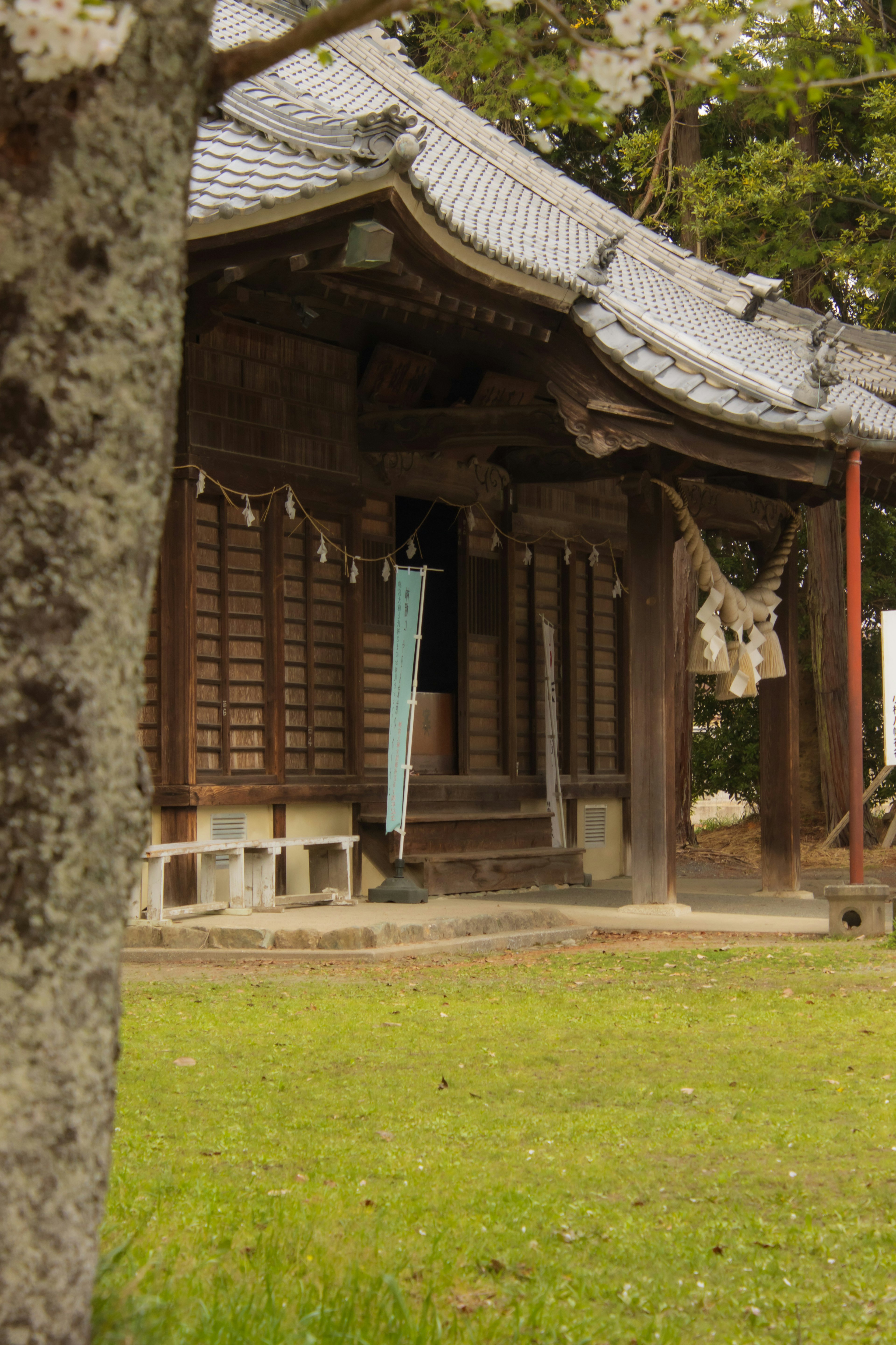 传统木制神社建筑和草地区域