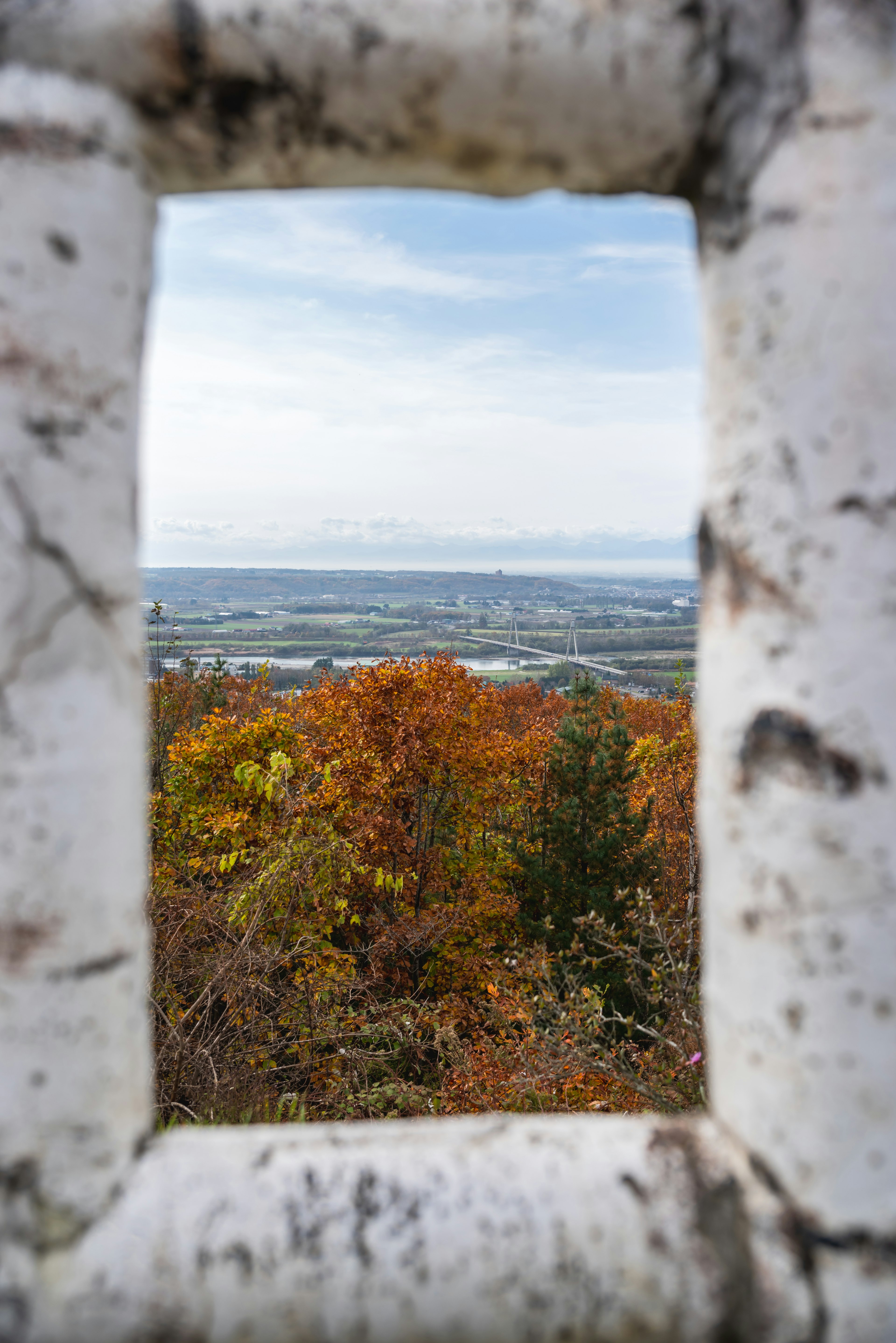 Vue de feuillage d'automne encadrée par une structure blanche