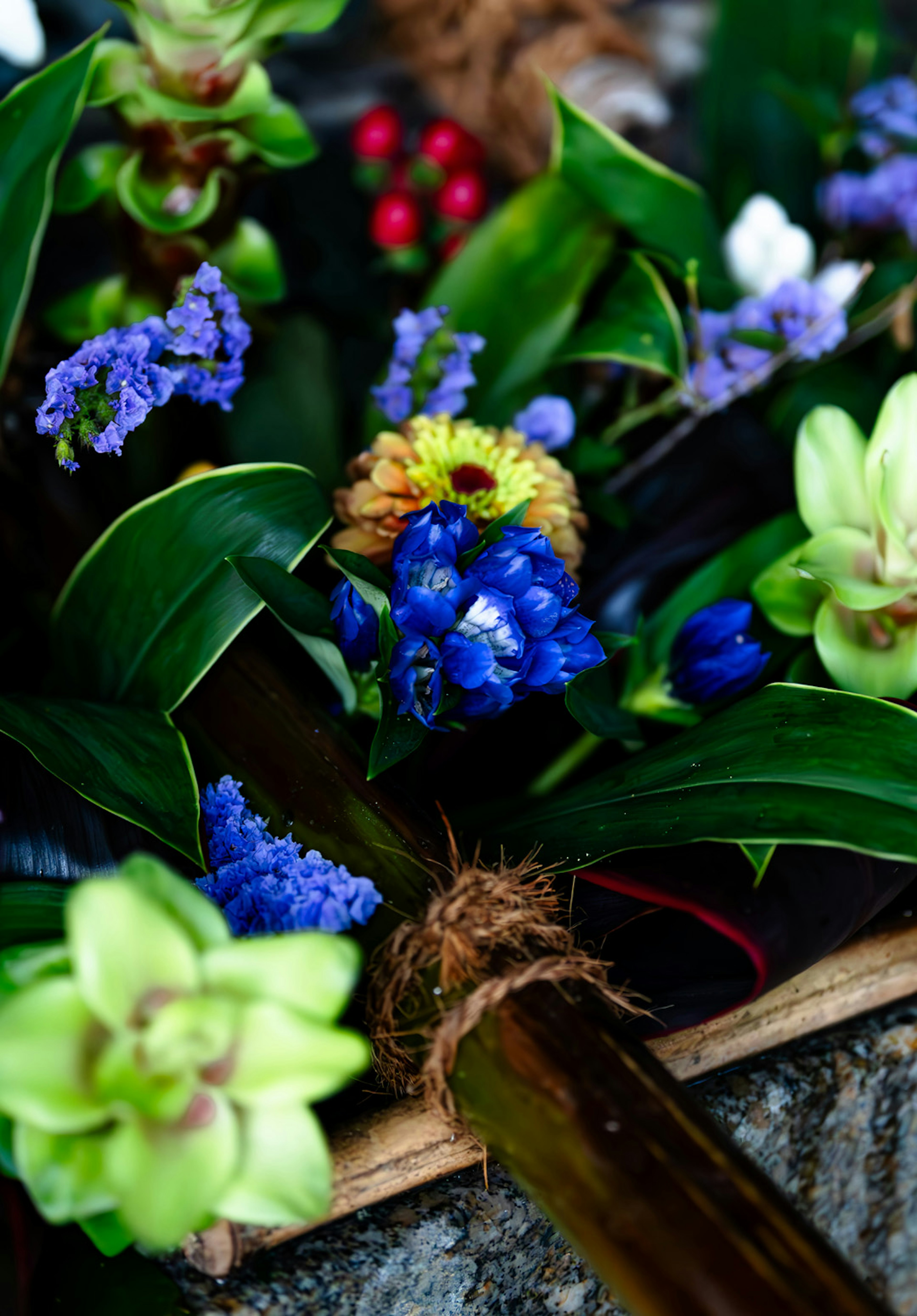 Un bel arrangement de fleurs colorées et de feuilles vertes