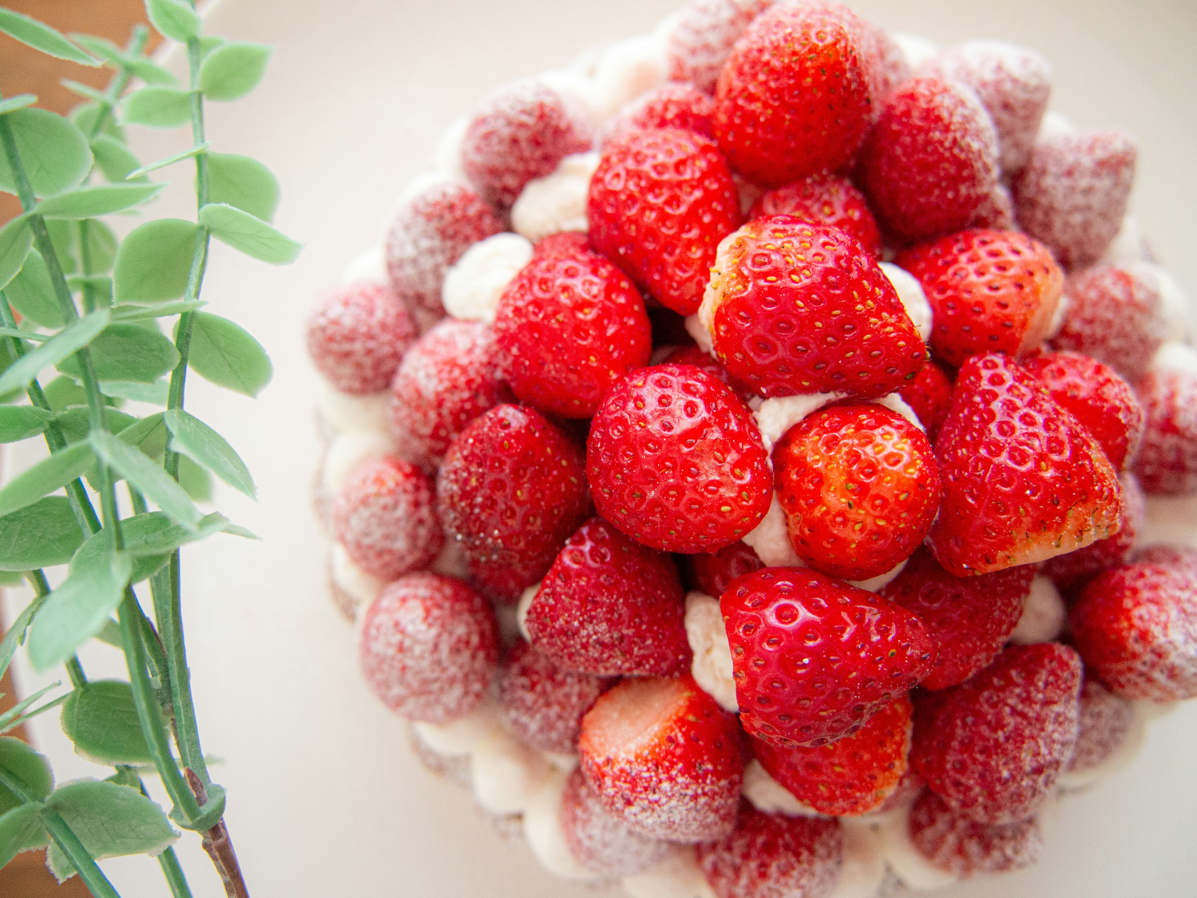 Top view of a cake topped with fresh strawberries