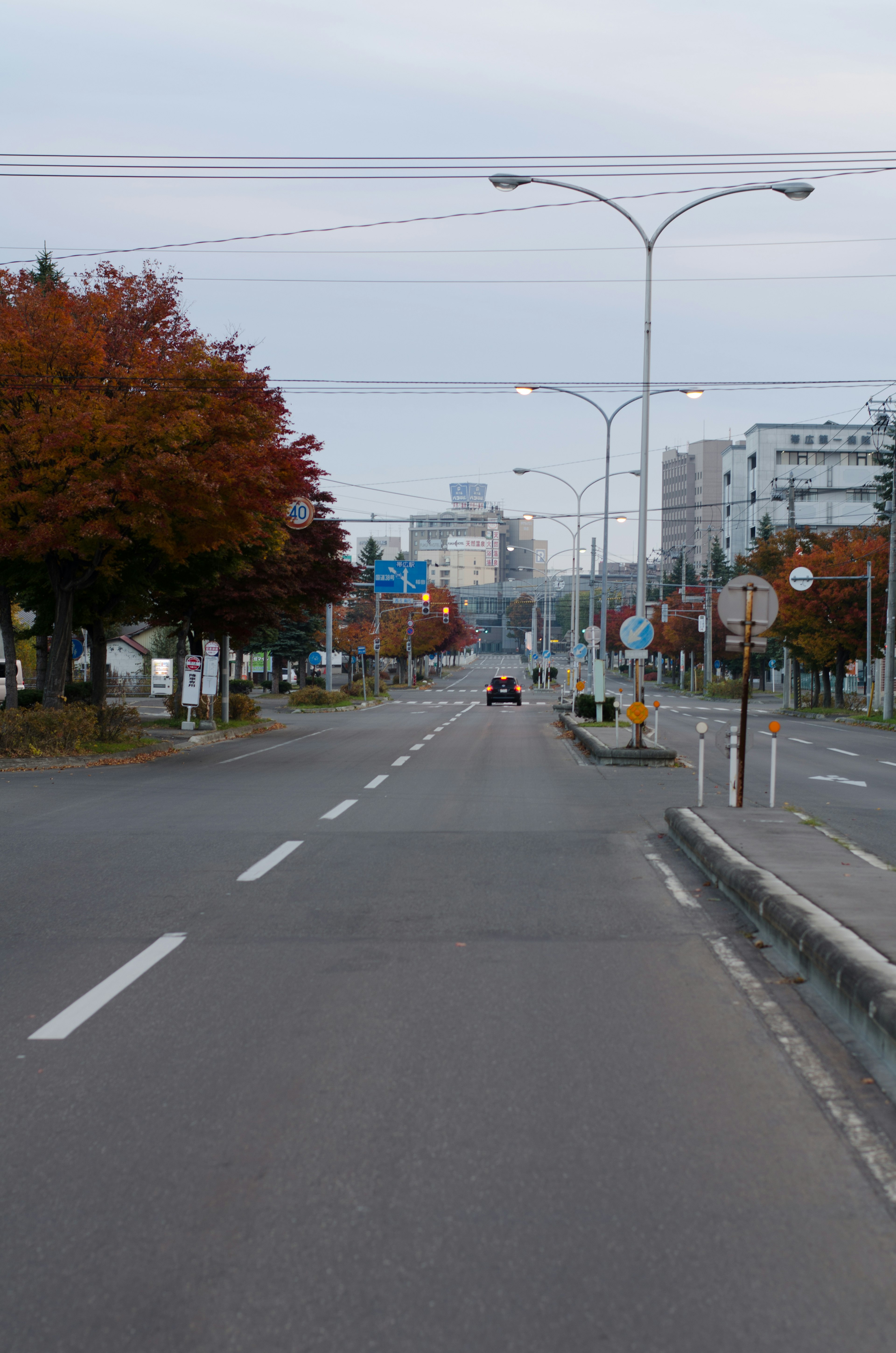 Straßenansicht mit Herbstlaub und Stadtlandschaft