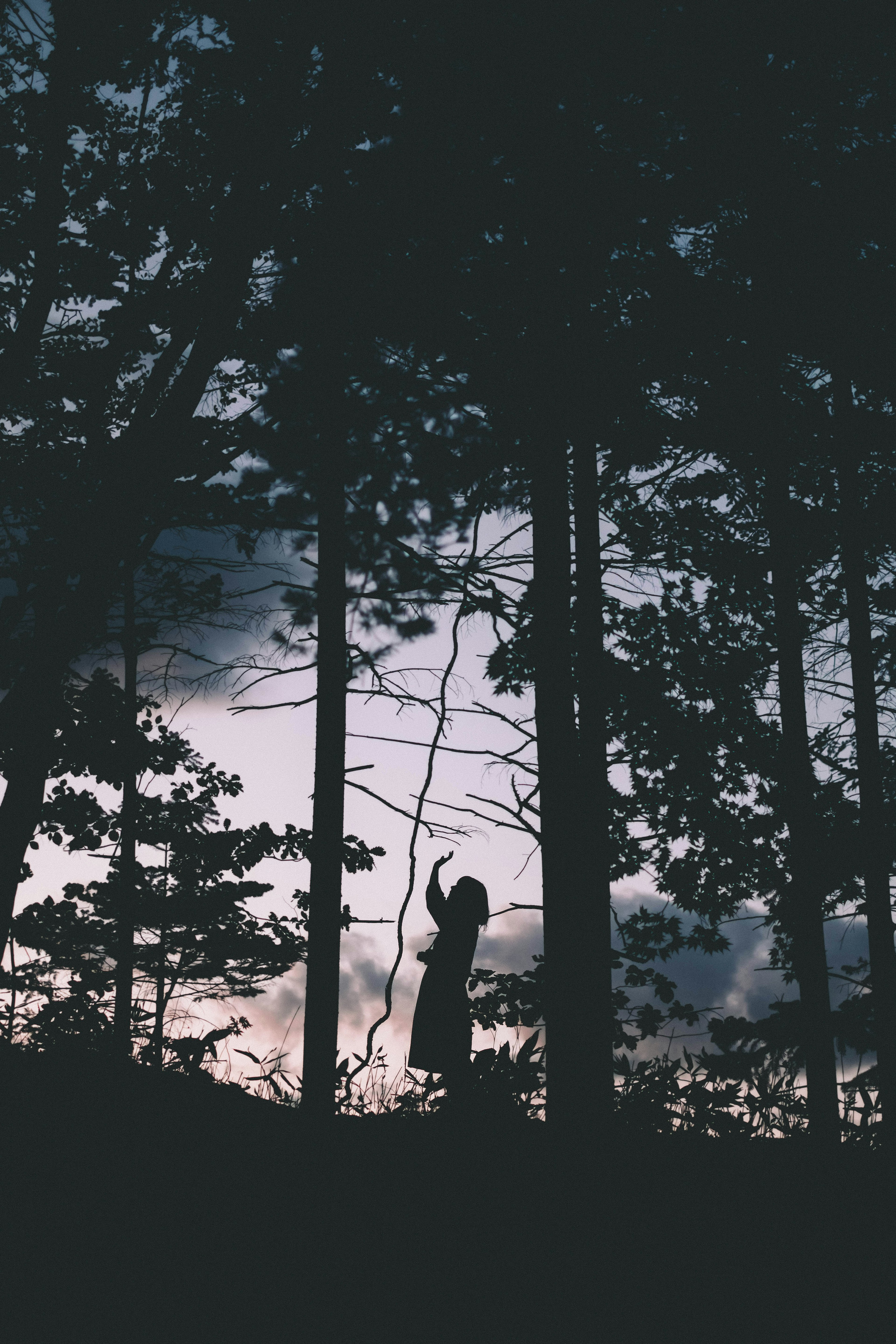 Silhouette einer Frau, die in einem Wald bei Dämmerung steht