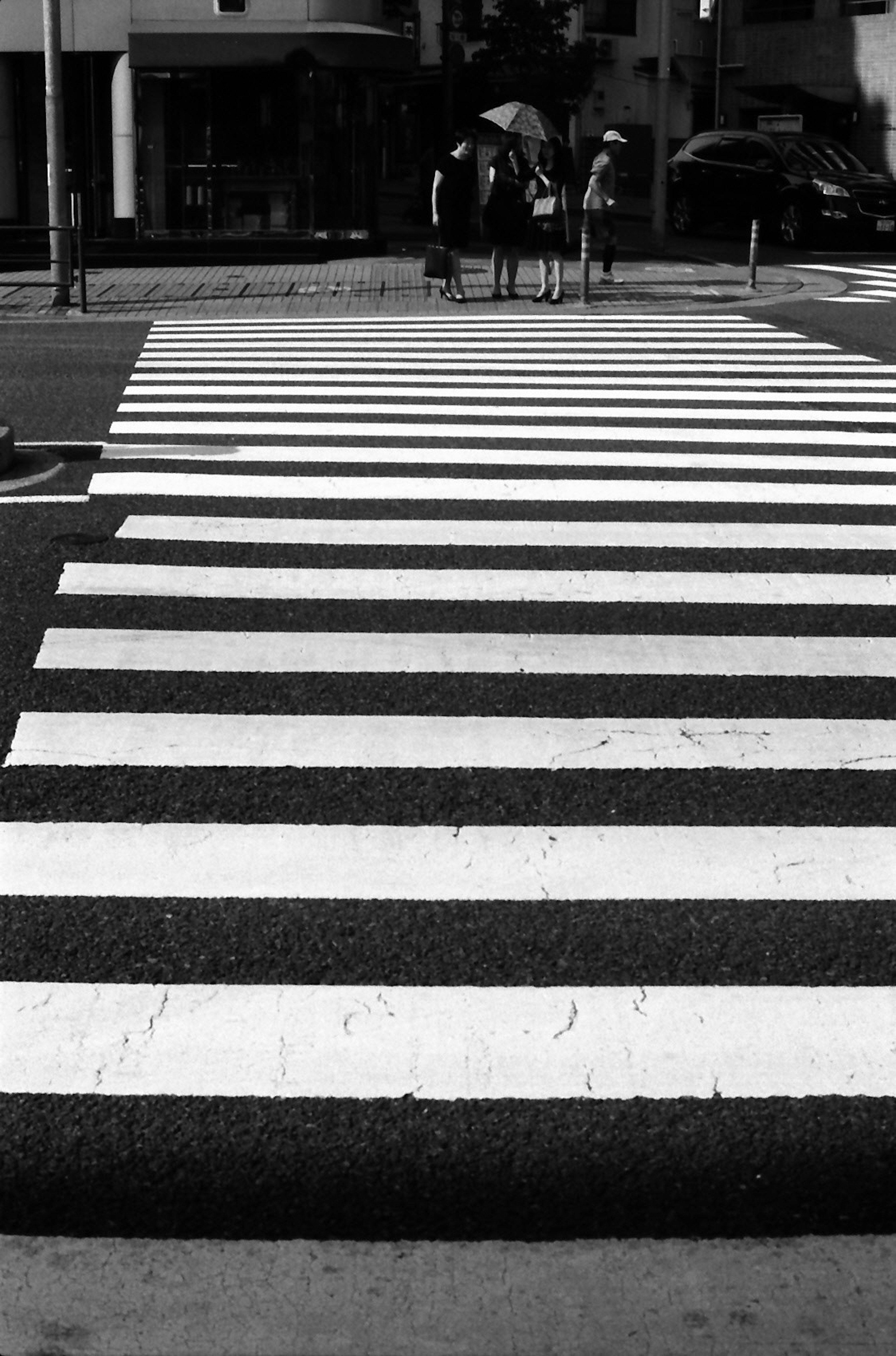 Zebra cross hitam putih di lingkungan perkotaan