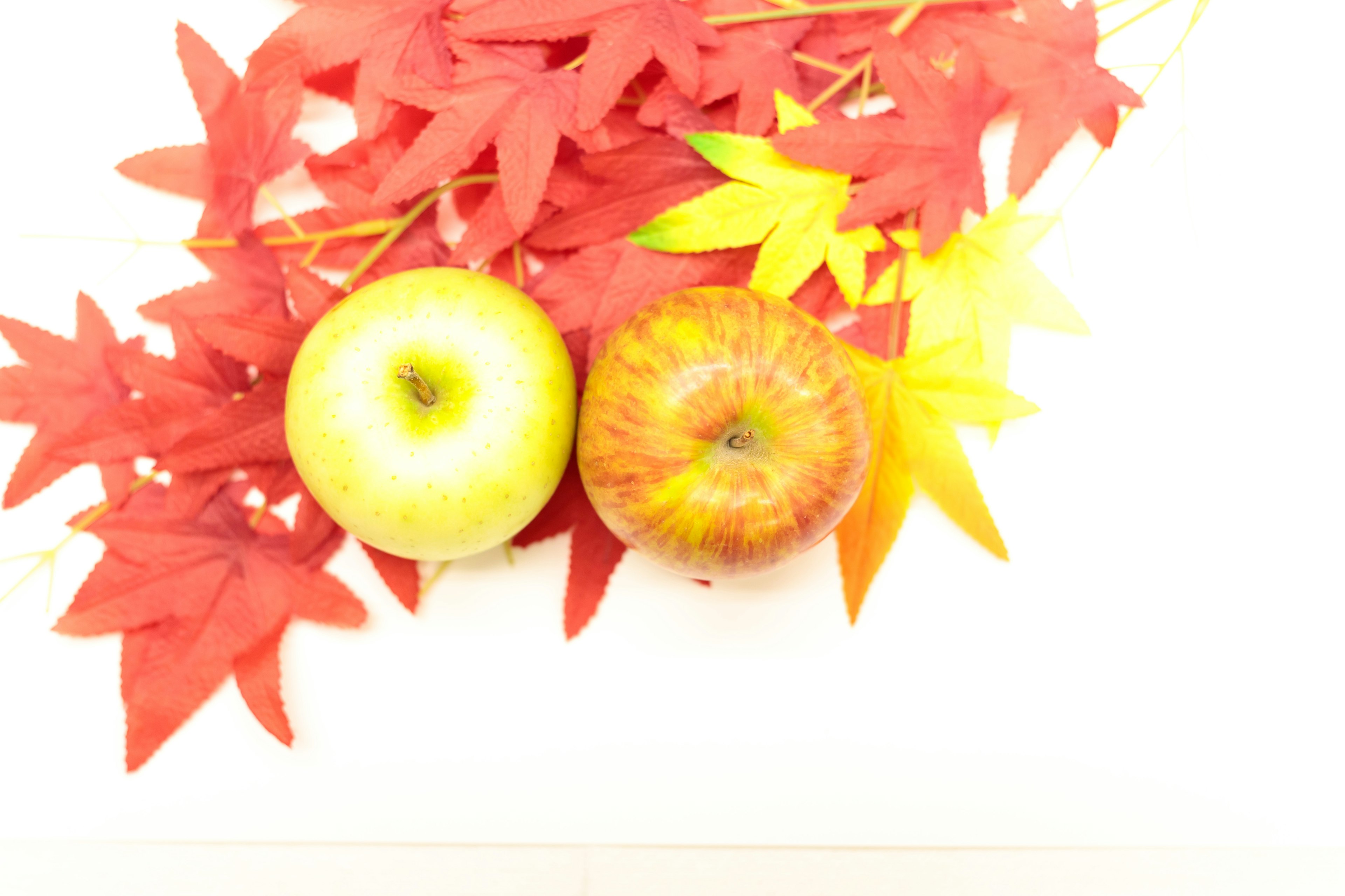 Pommes vertes et rouges sur des feuilles d'automne rouges et jaunes