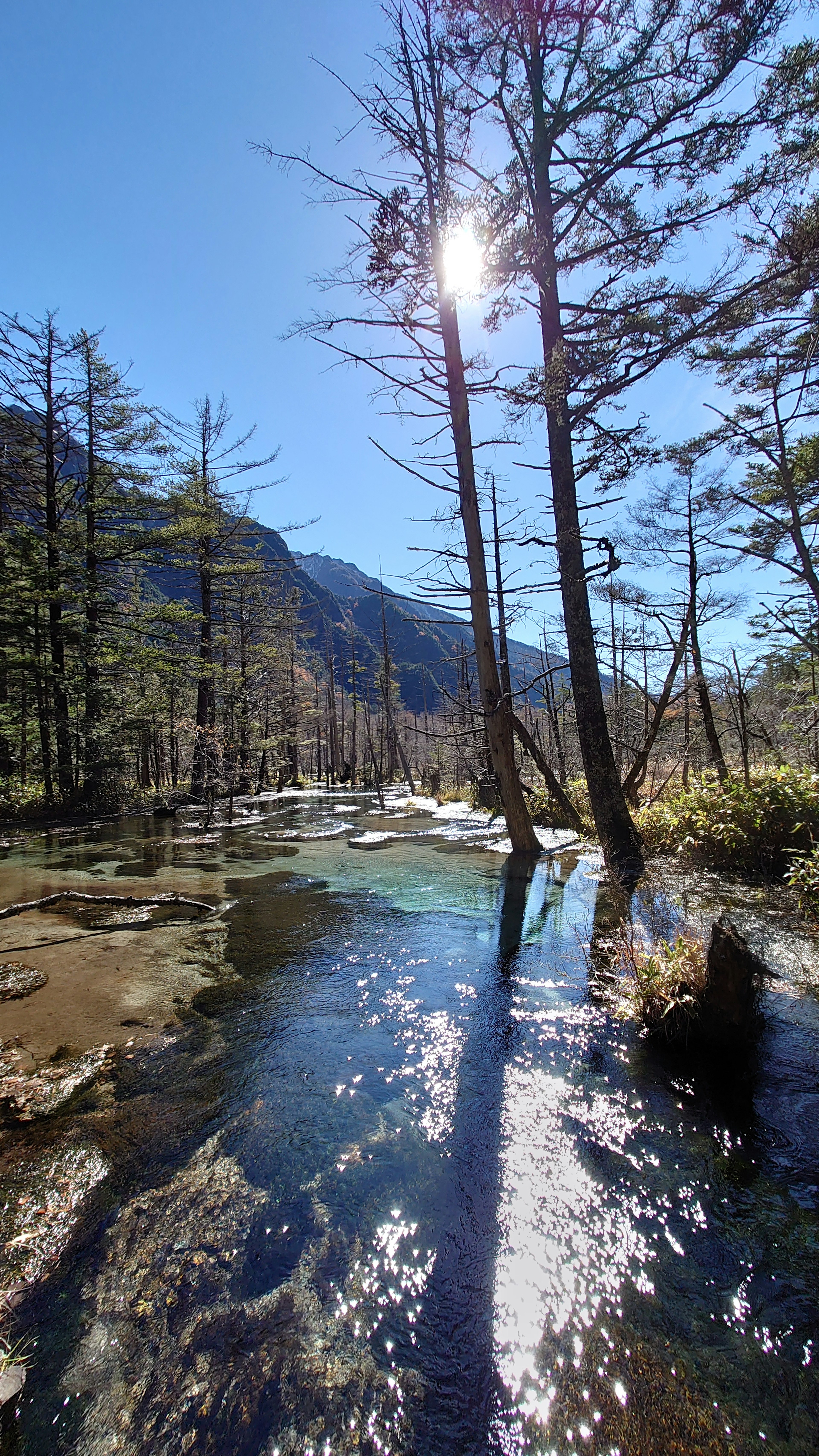 Malersicher Blick auf einen Bach umgeben von Bergen und Bäumen Sonnenlicht spiegelt sich auf der Wasseroberfläche