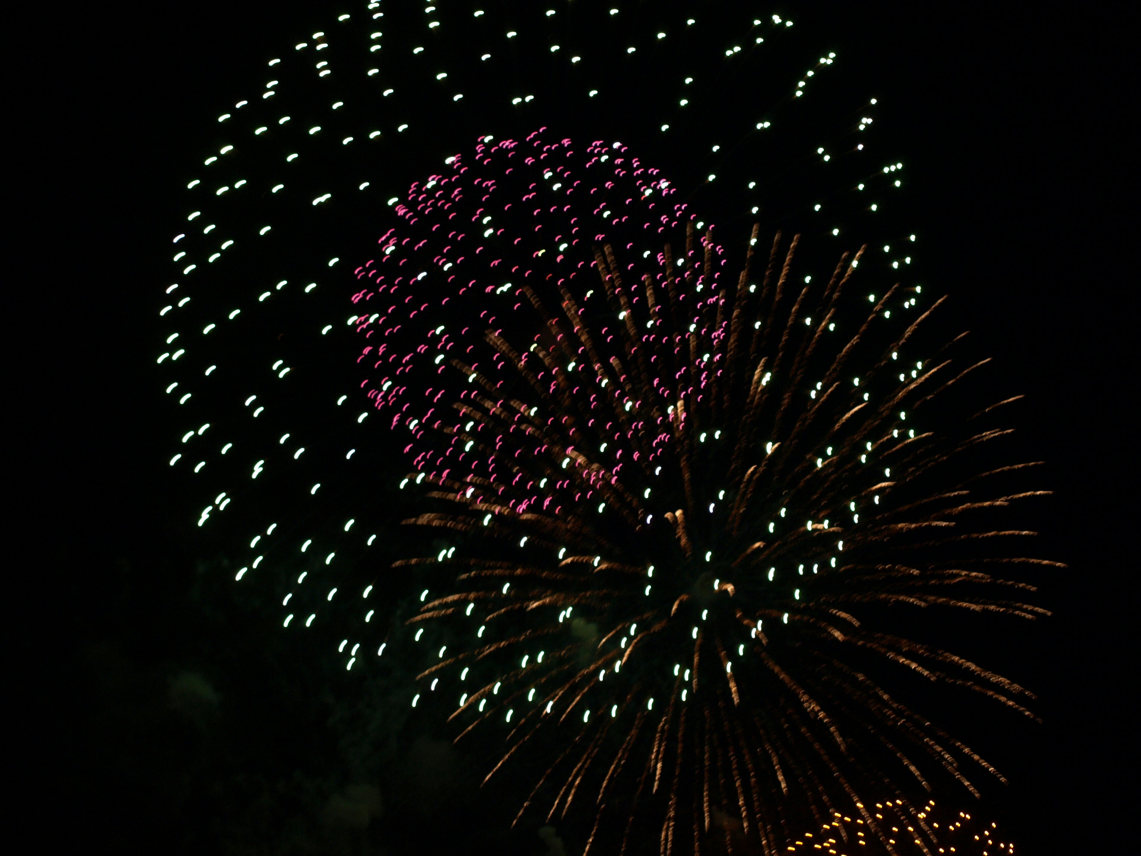 Spettacolo di fuochi d'artificio colorati che illuminano il cielo notturno