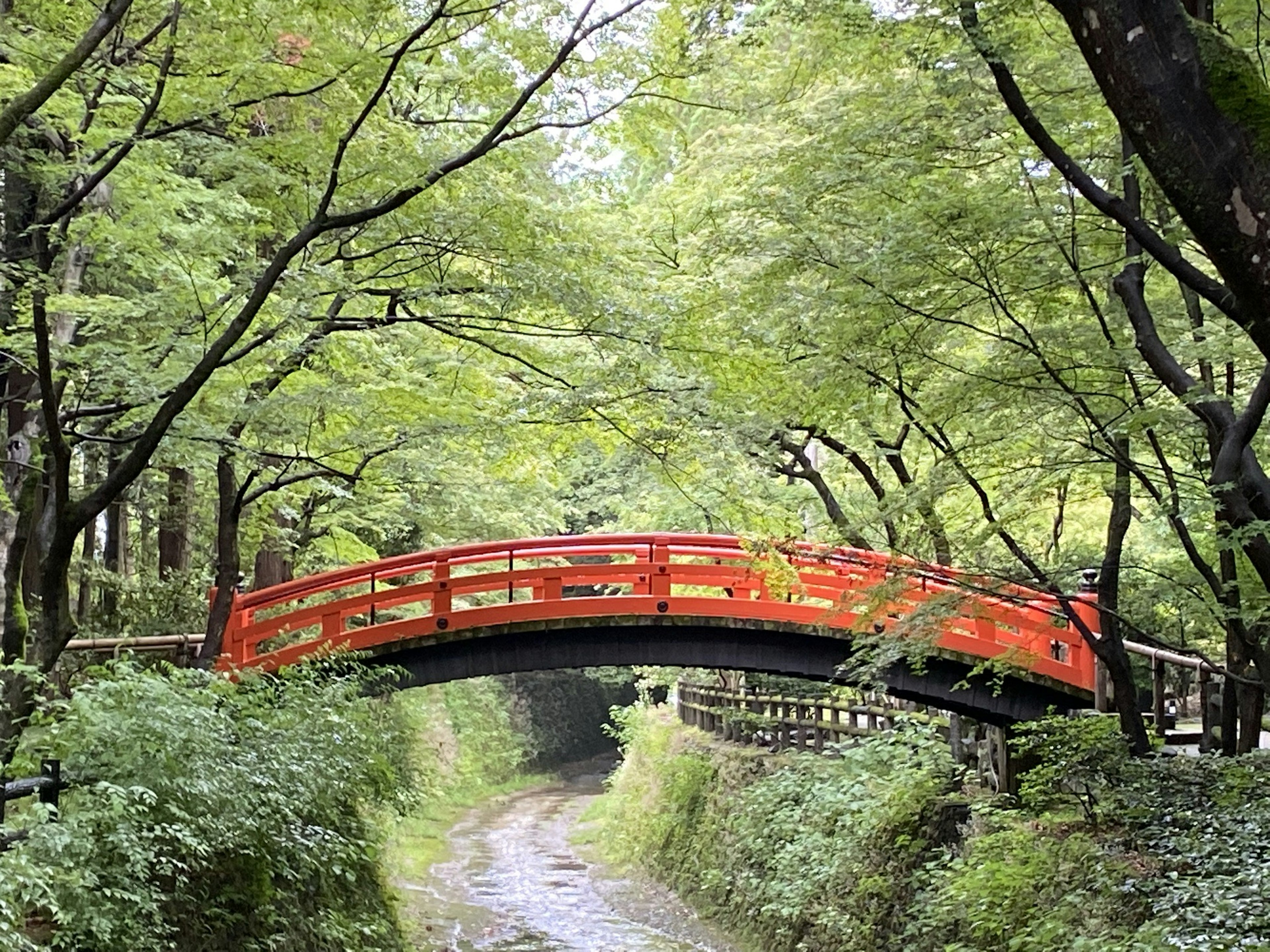 A red bridge spanning a path surrounded by lush green trees