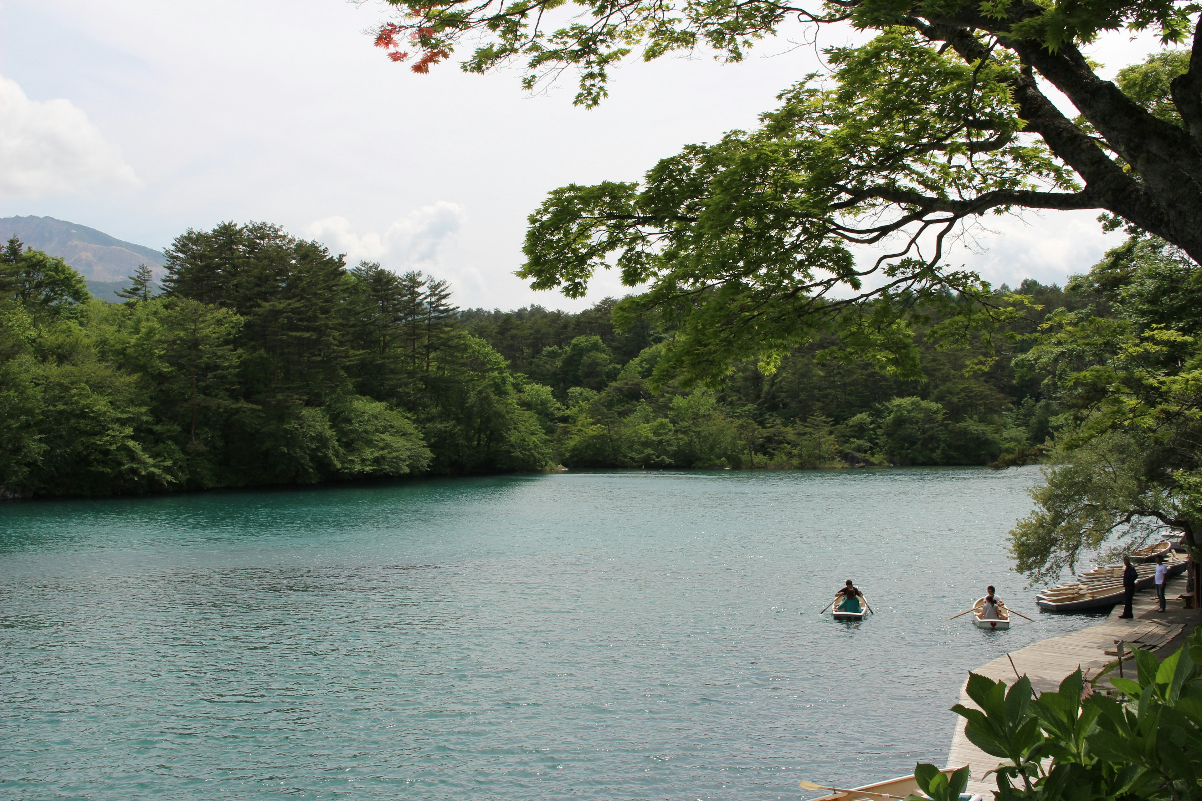 Pemandangan indah dan tenang dari danau yang dikelilingi pepohonan hijau subur