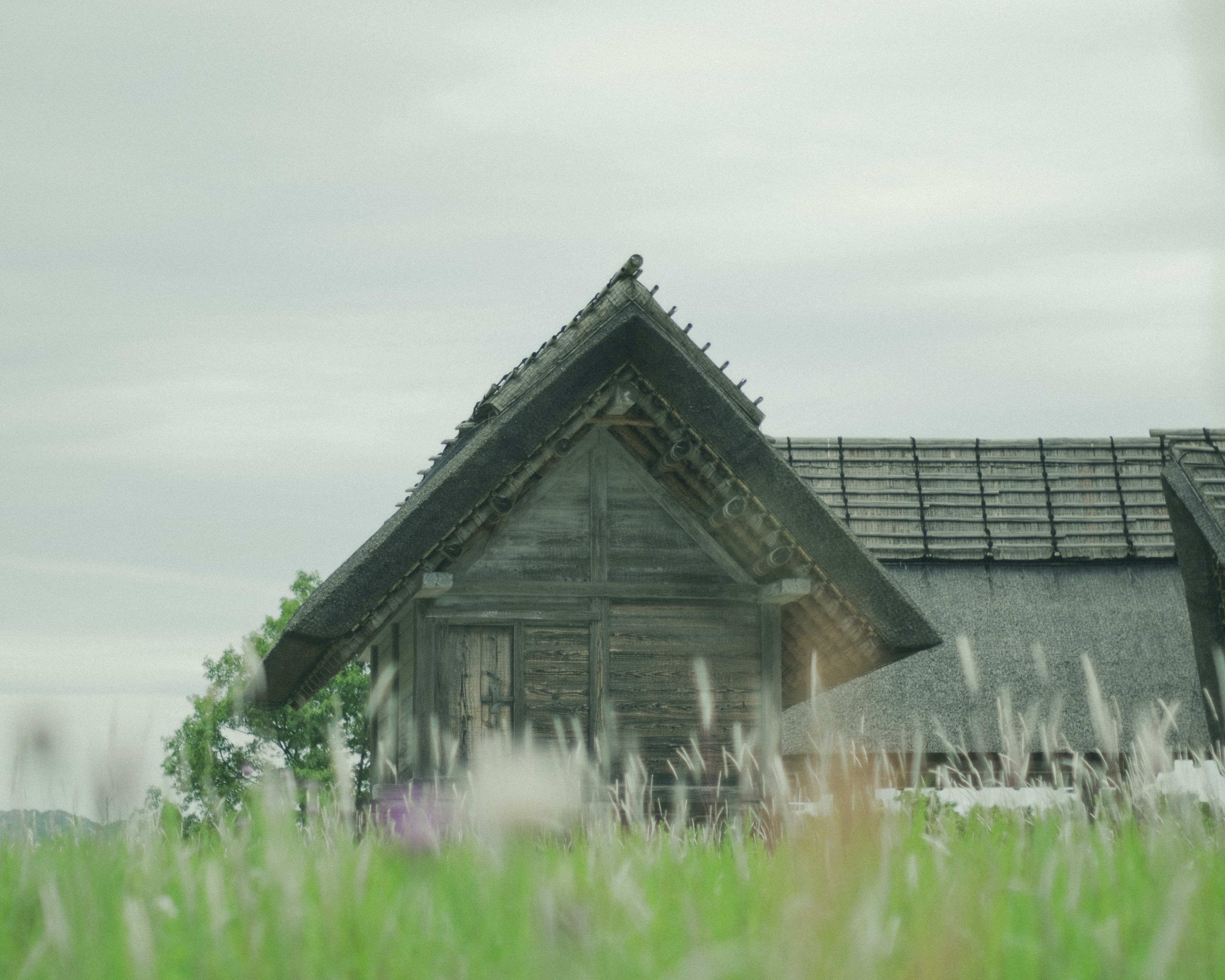 緑の草原と木製の家屋の一部が映る風景