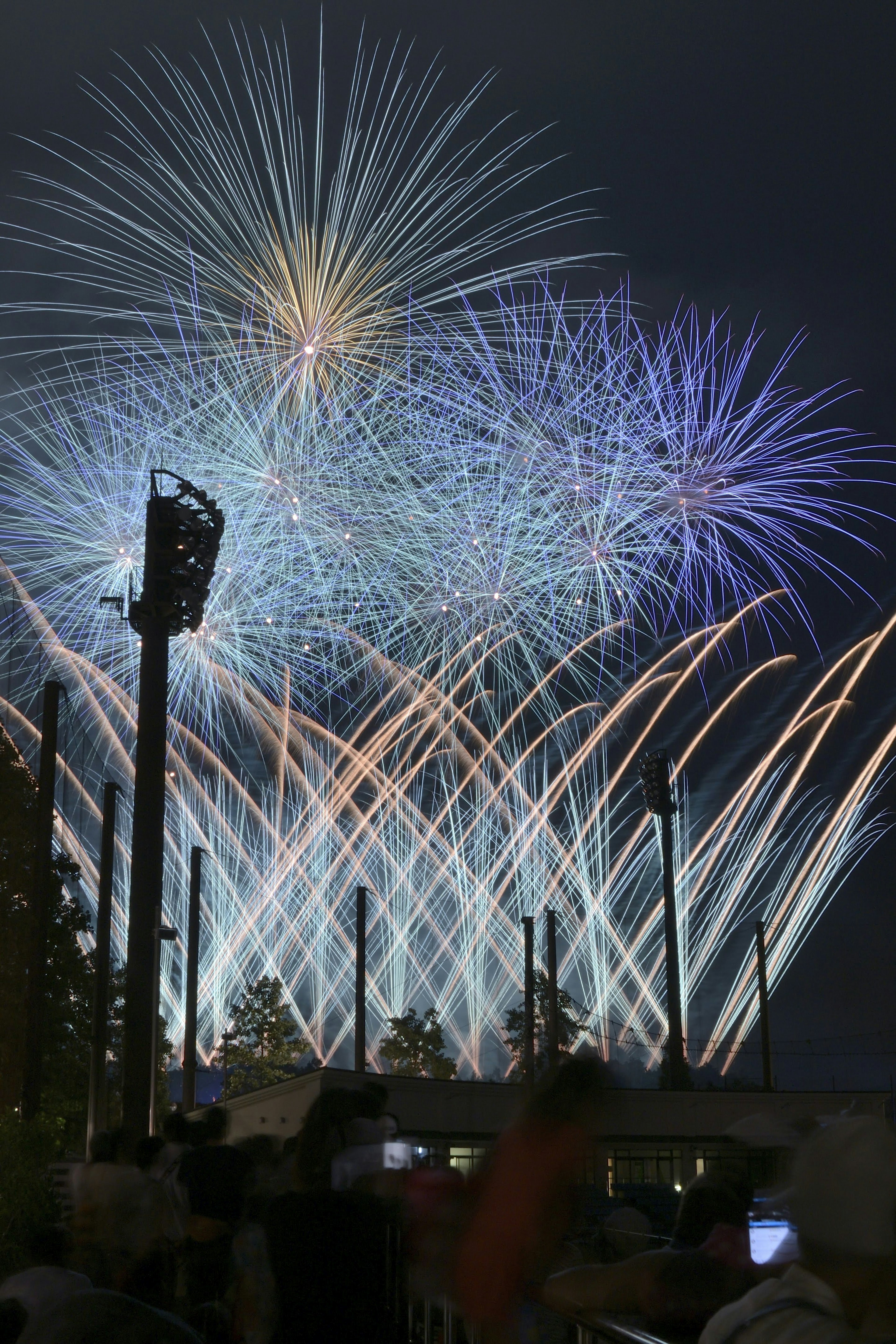 Spectacle de feux d'artifice colorés dans le ciel nocturne avec des spectateurs