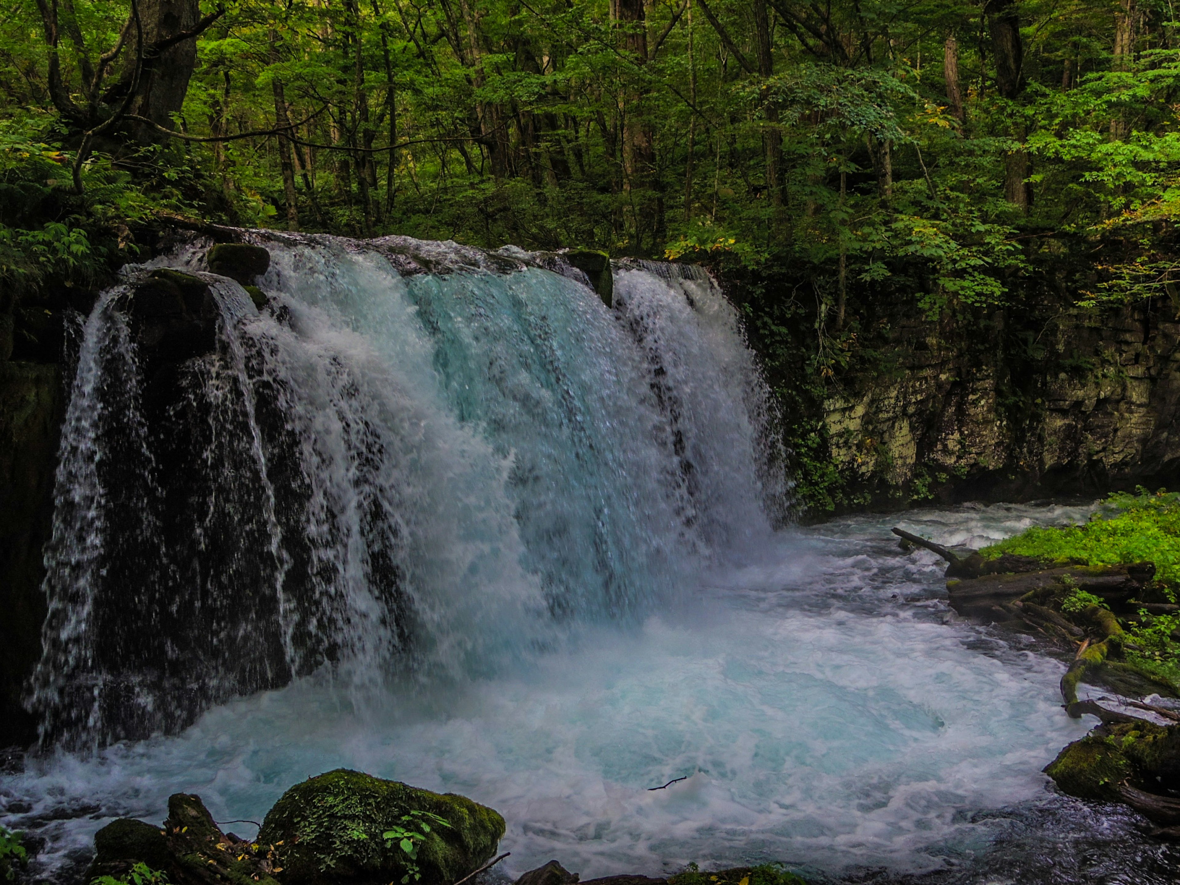 Cascada de agua turquesa rodeada de árboles verdes exuberantes