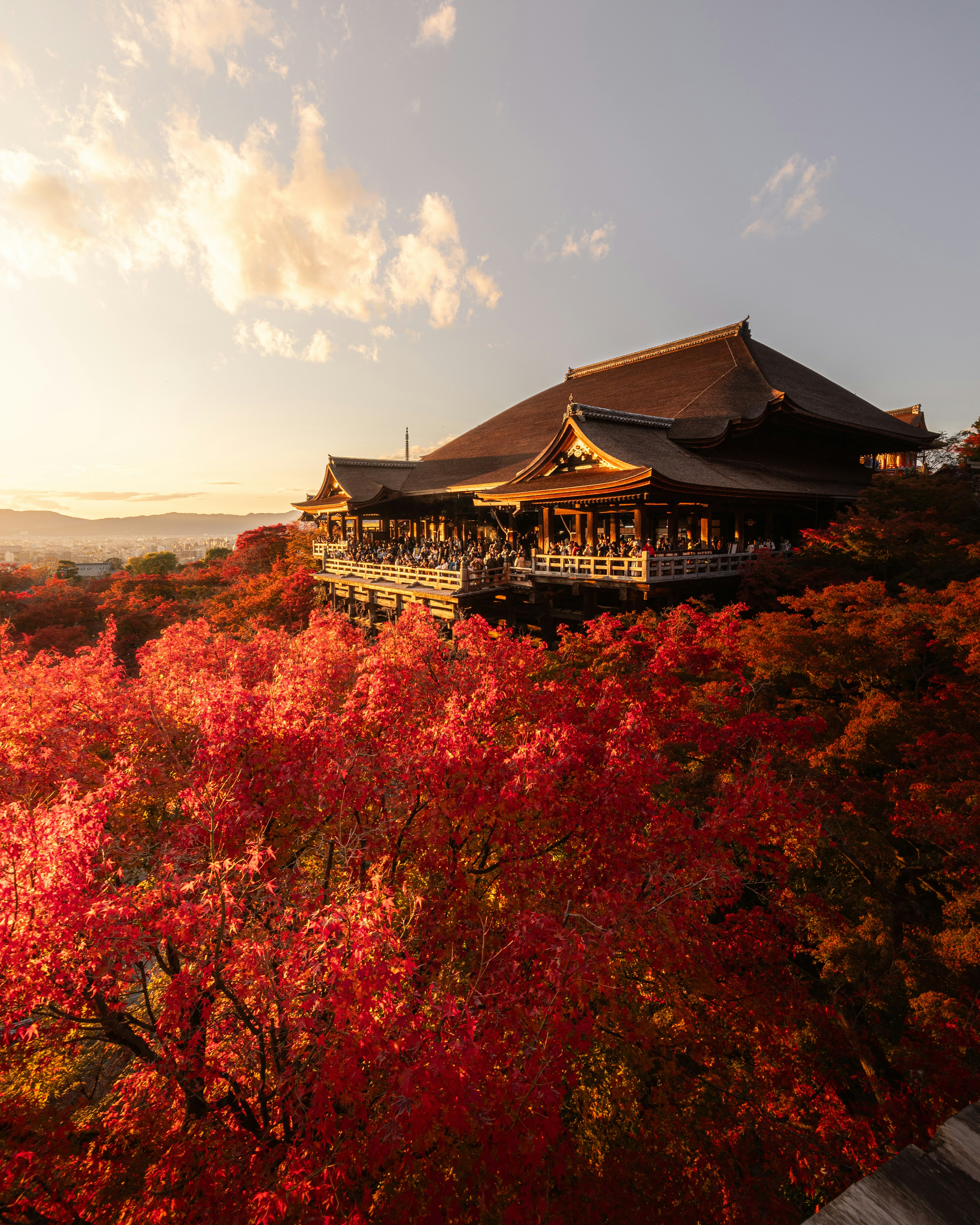 ทัศนียภาพอันสวยงามของวัดคิโยมิซุที่ล้อมรอบด้วยใบไม้เปลี่ยนสีในฤดูใบไม้ร่วง