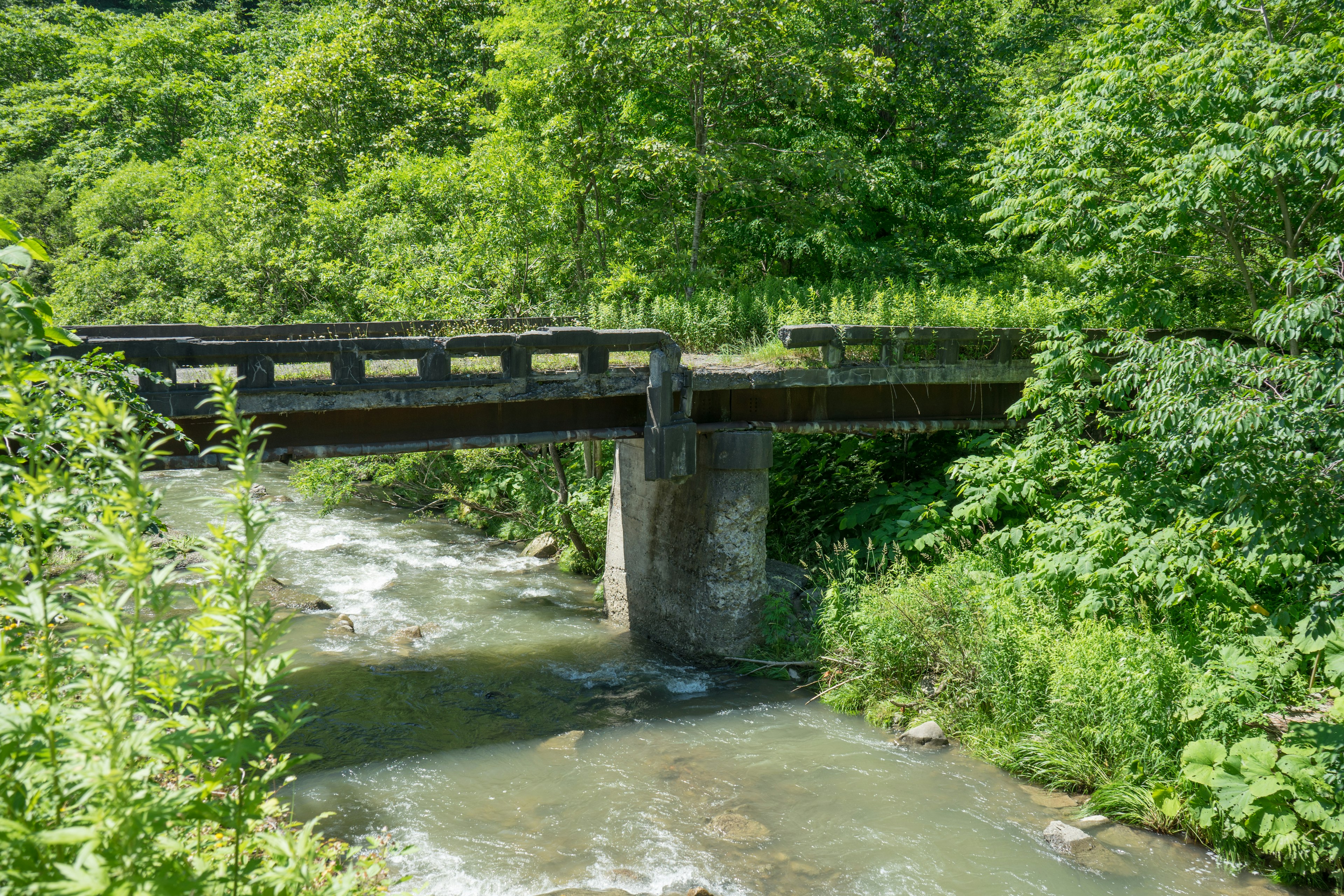 Eine alte Brücke, die einen Bach überspannt, umgeben von üppigem Grün