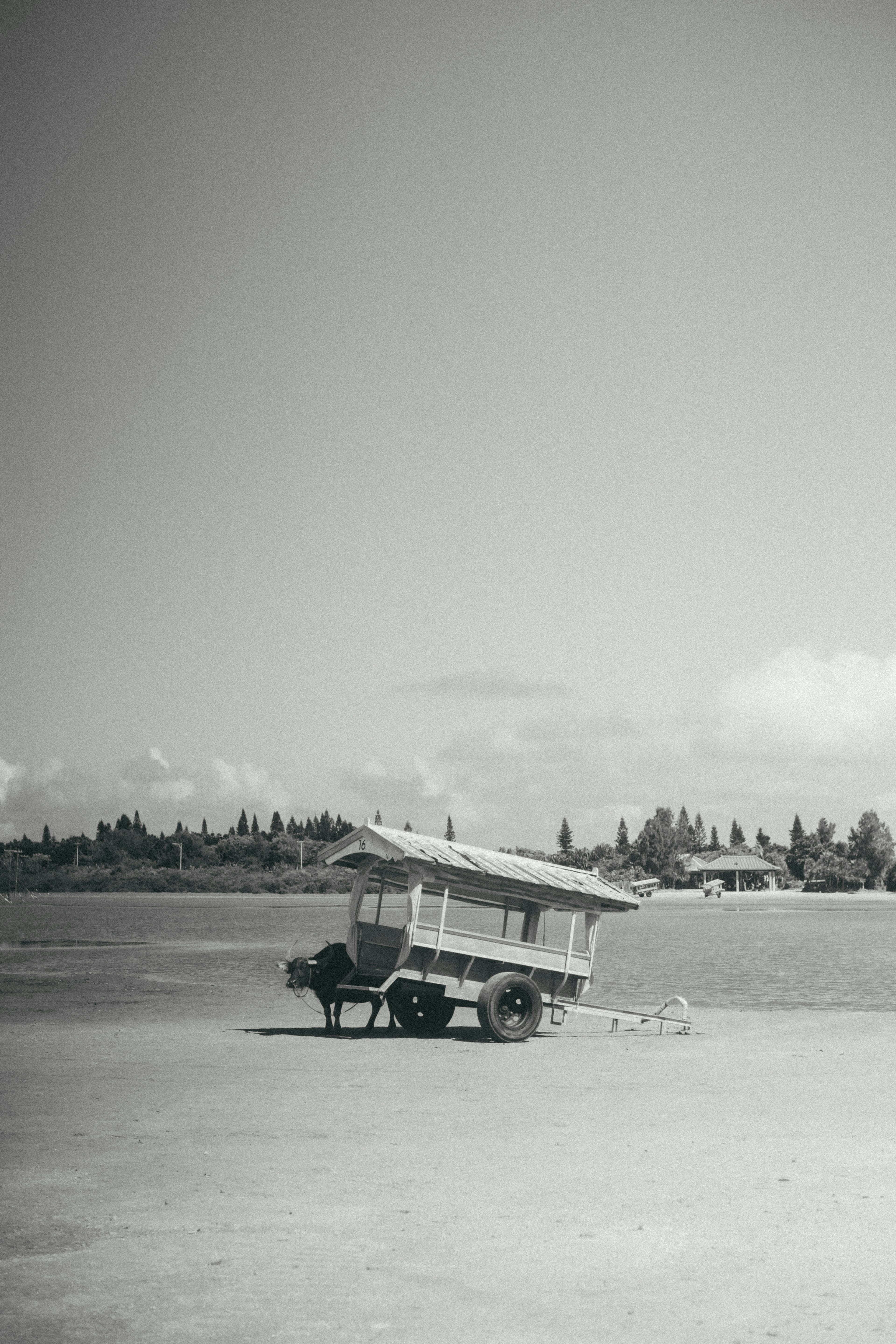 Una escena de playa con una pequeña cabaña en blanco y negro