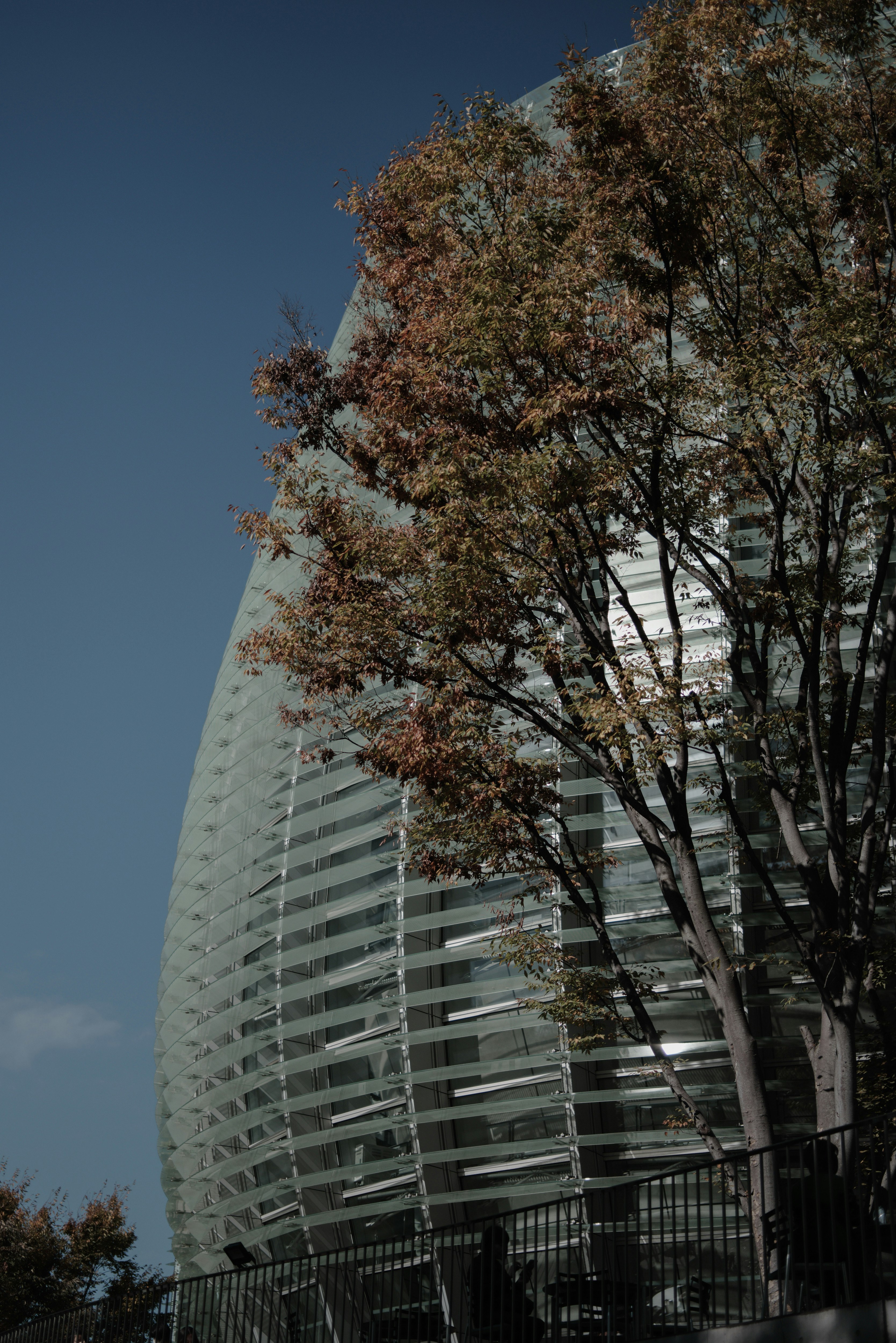 Modern building with glass facade and surrounding trees