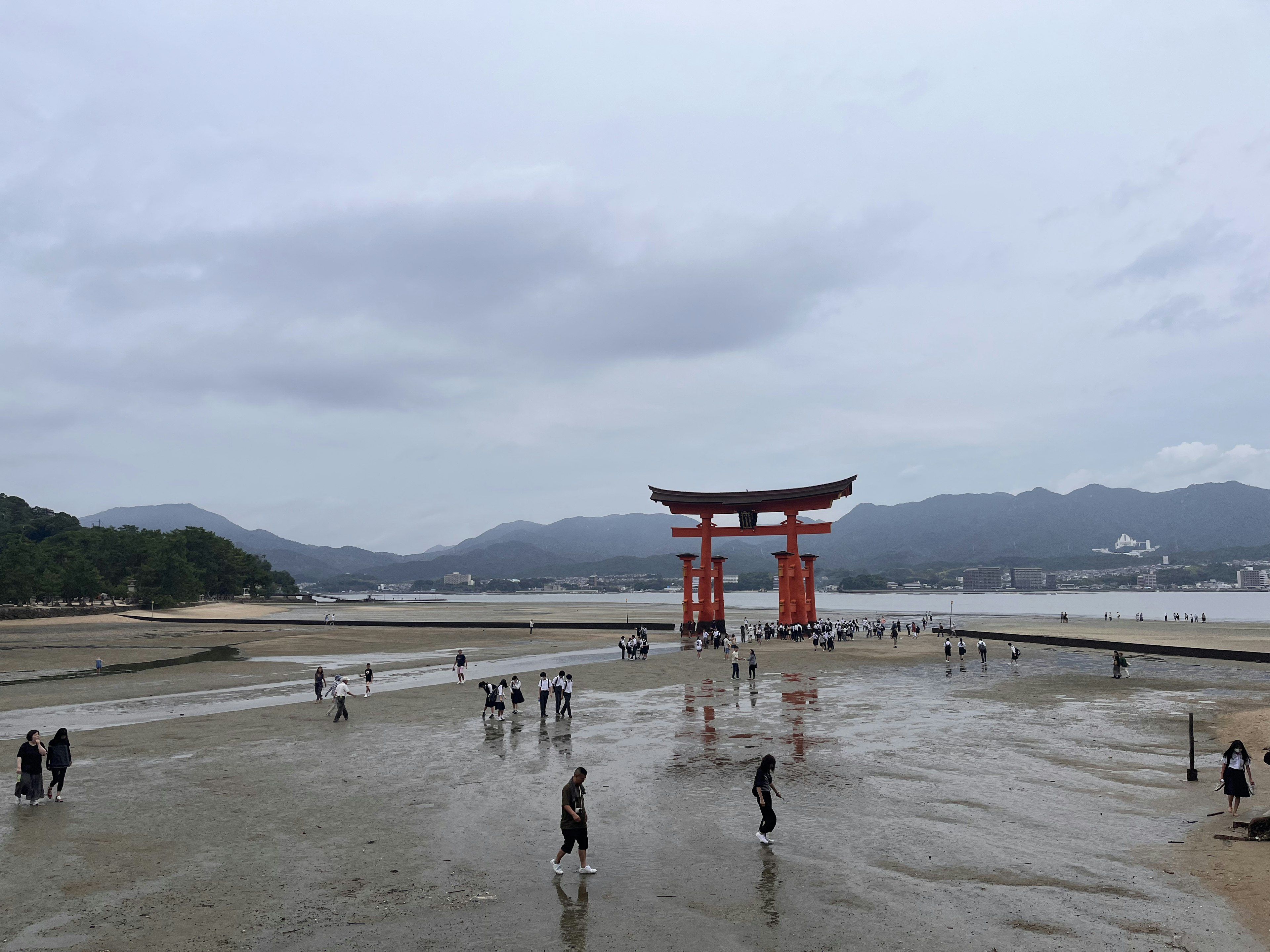 Vista del torii del Santuario di Itsukushima e persone che camminano sulla spiaggia scoperta