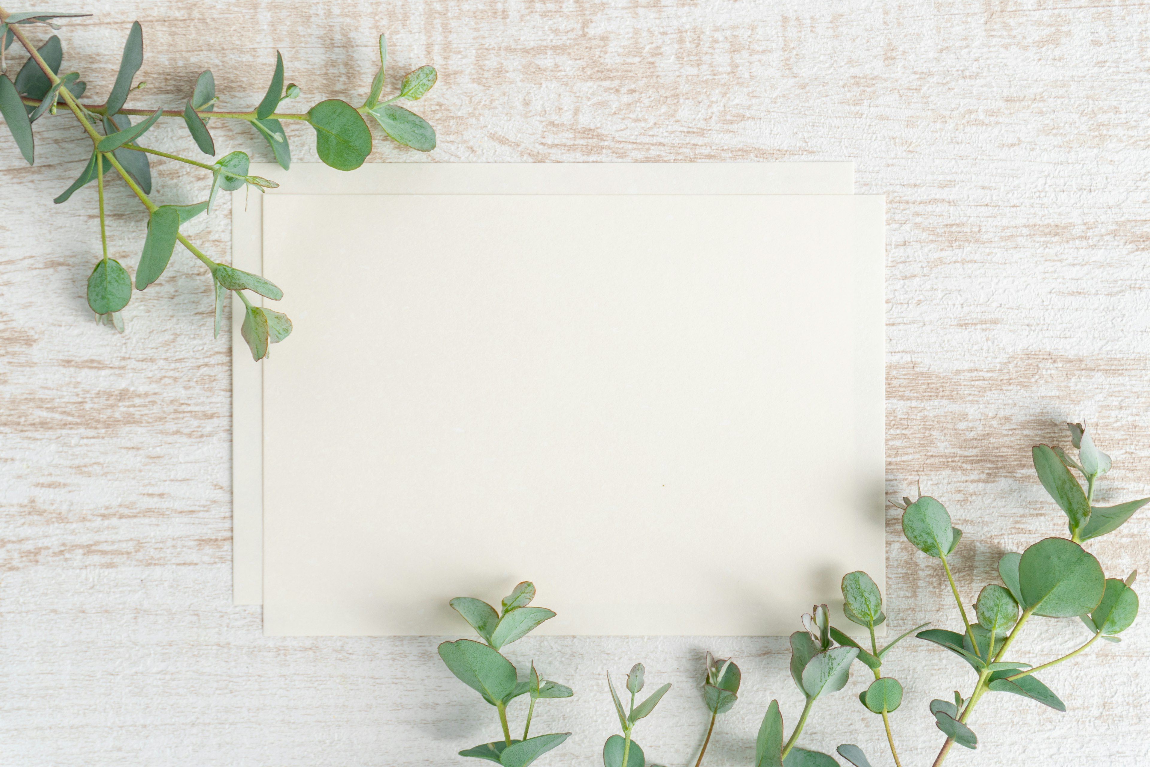 Carte blanche entourée de feuilles vertes sur un fond en bois clair