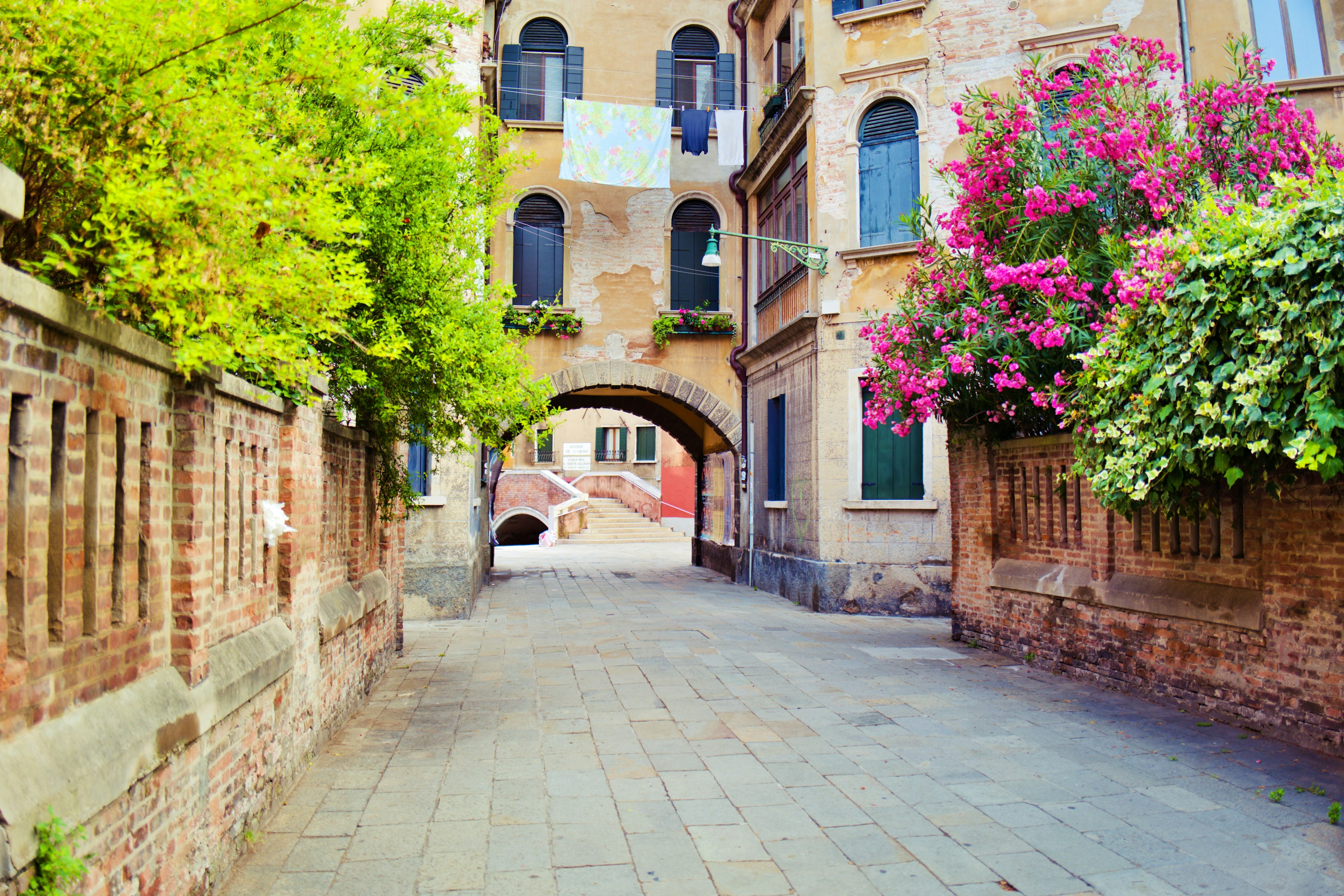 Strada affascinante a Venezia con fiori in fiore e un ponte ad arco