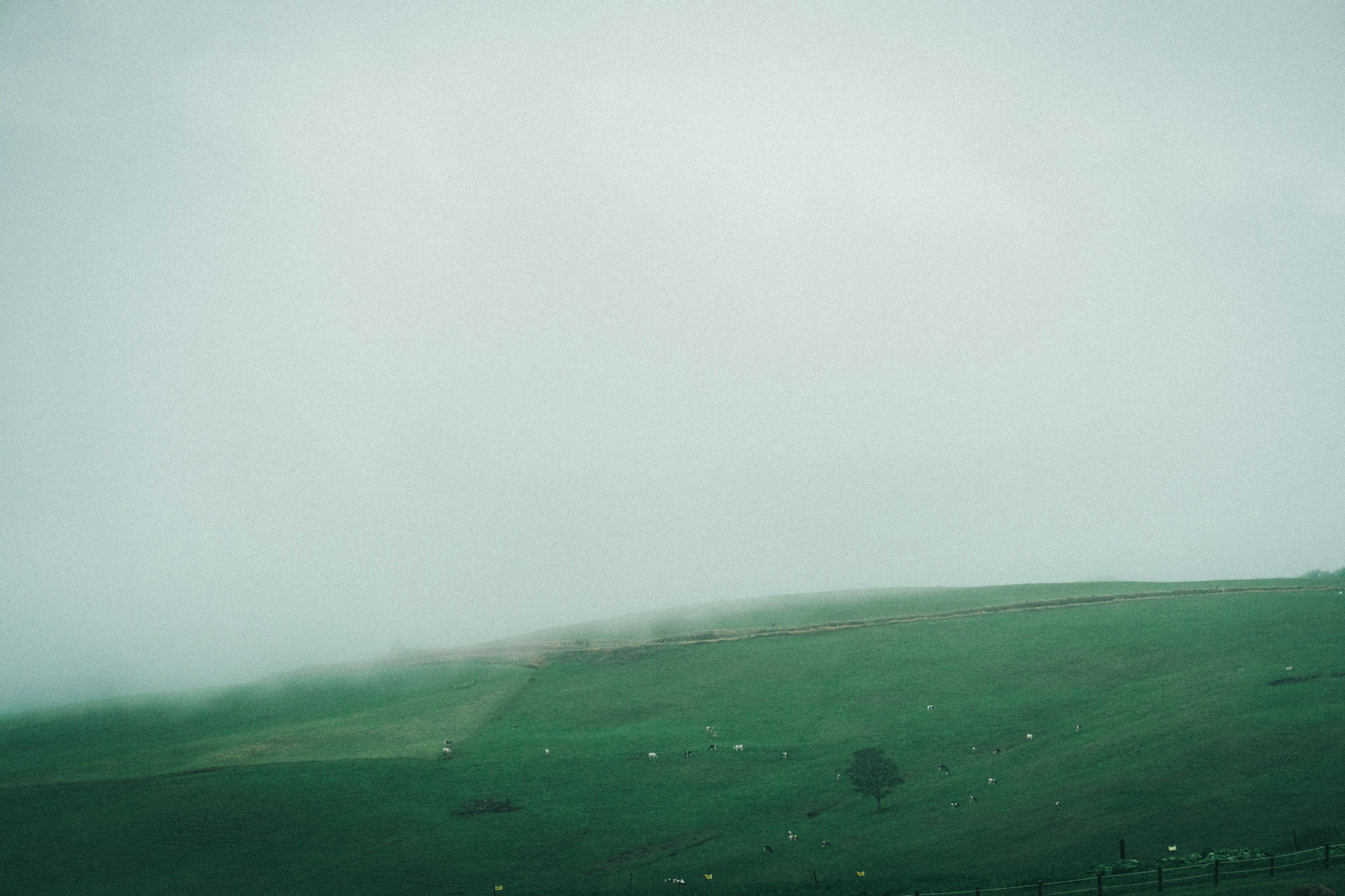 雾中的绿色丘陵风景