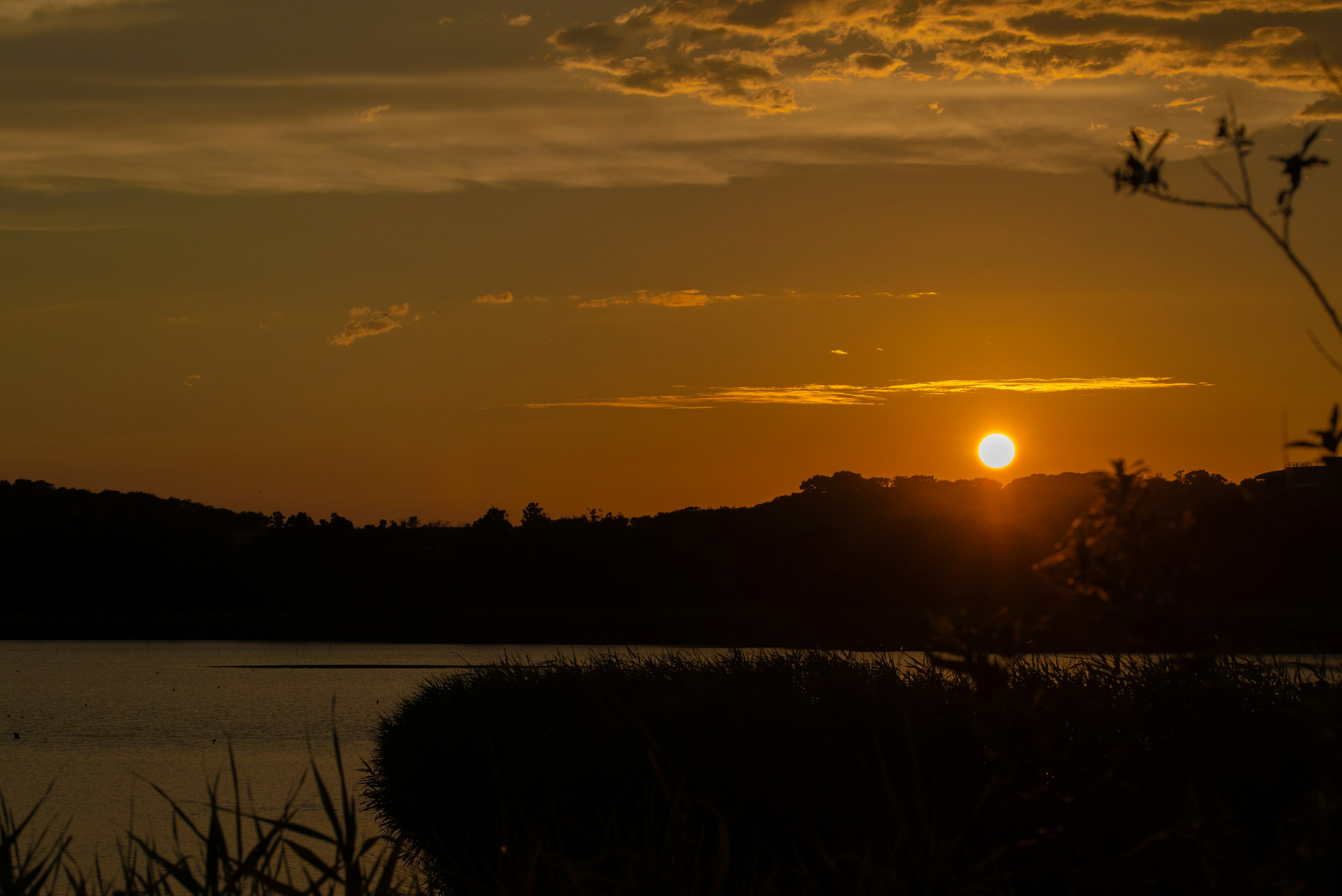 Serene landscape of a lake at sunset with silhouettes of grass and hills