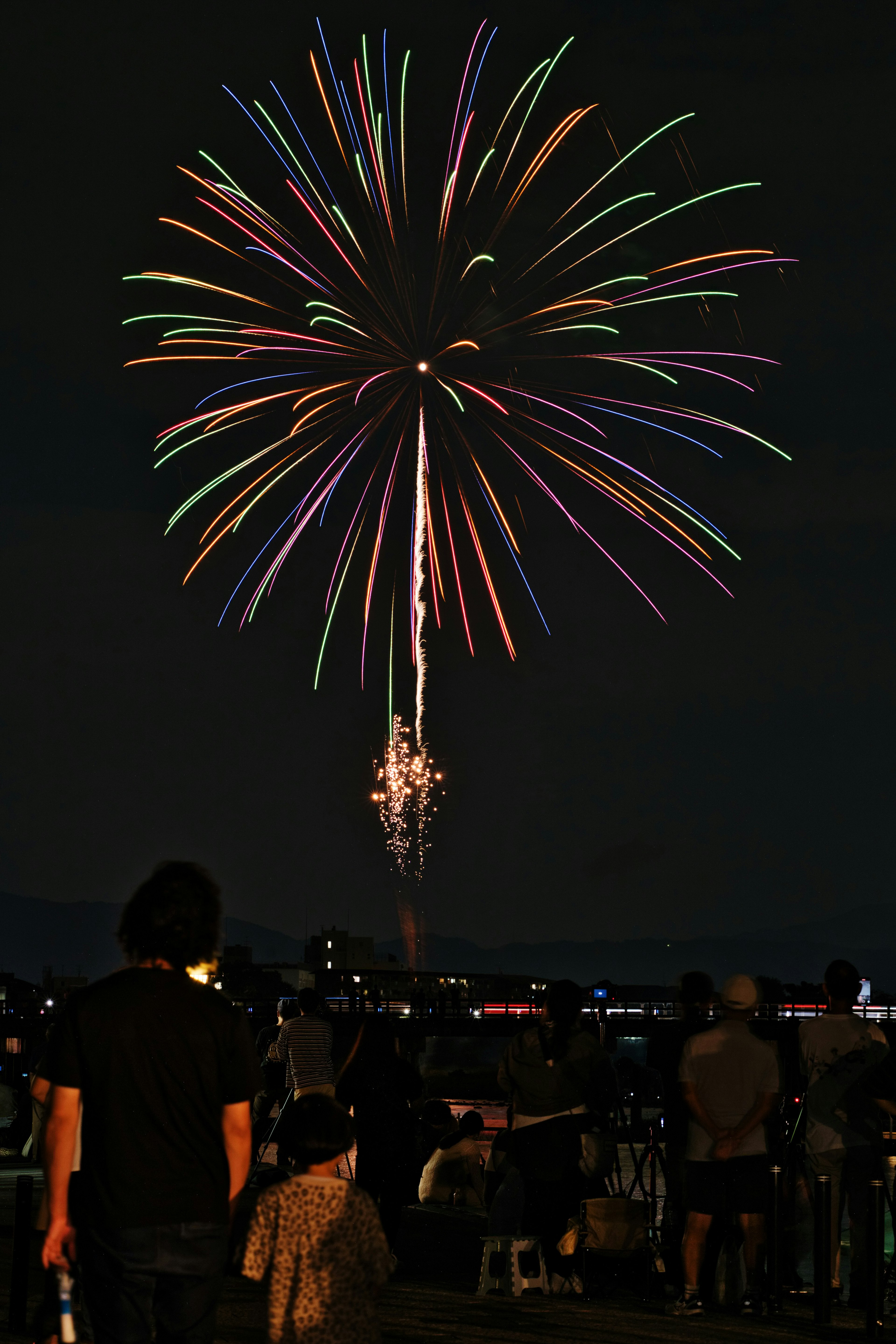 Fuochi d'artificio che illuminano il cielo notturno con sagome di spettatori