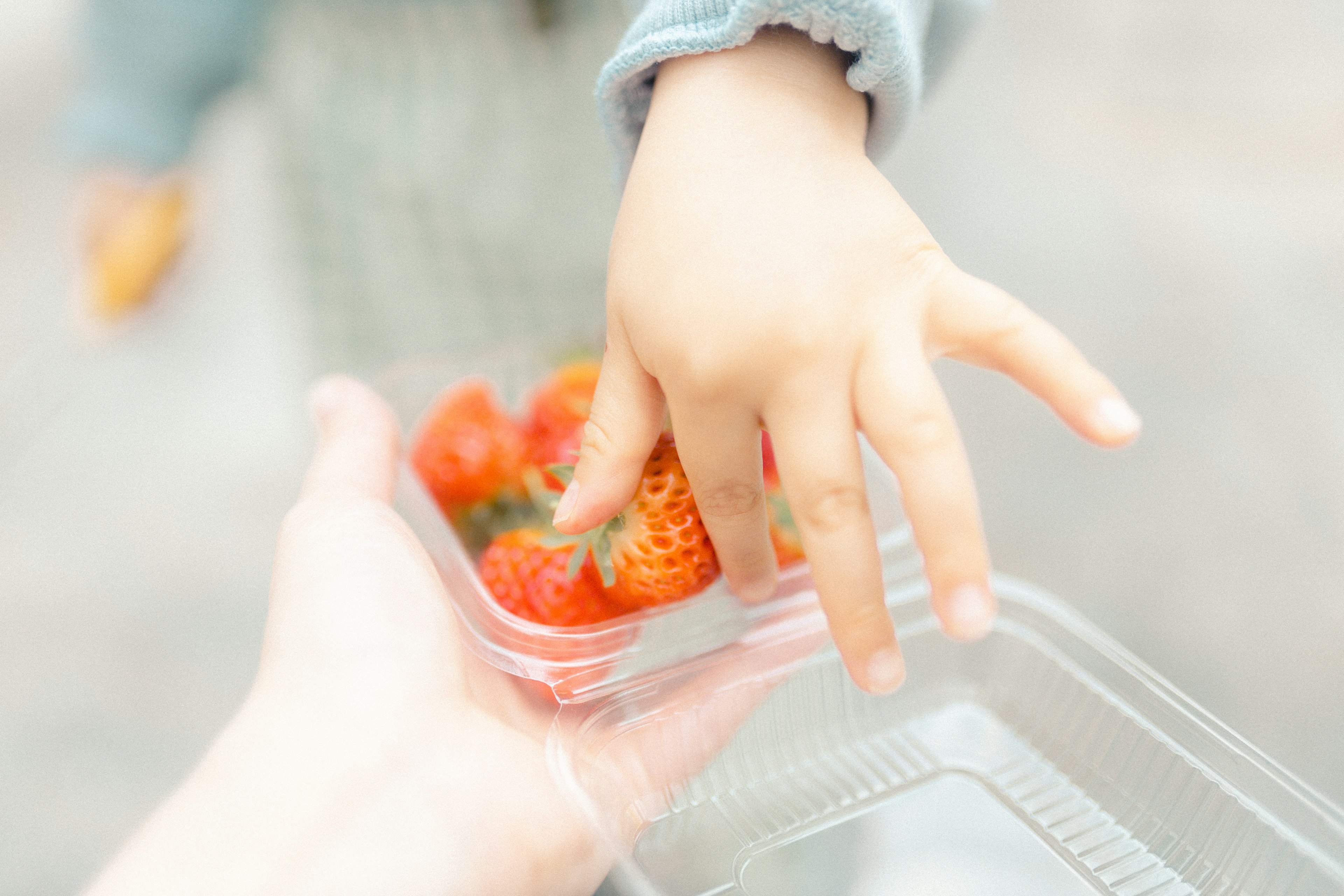 Une main tendue vers des fraises dans un conteneur