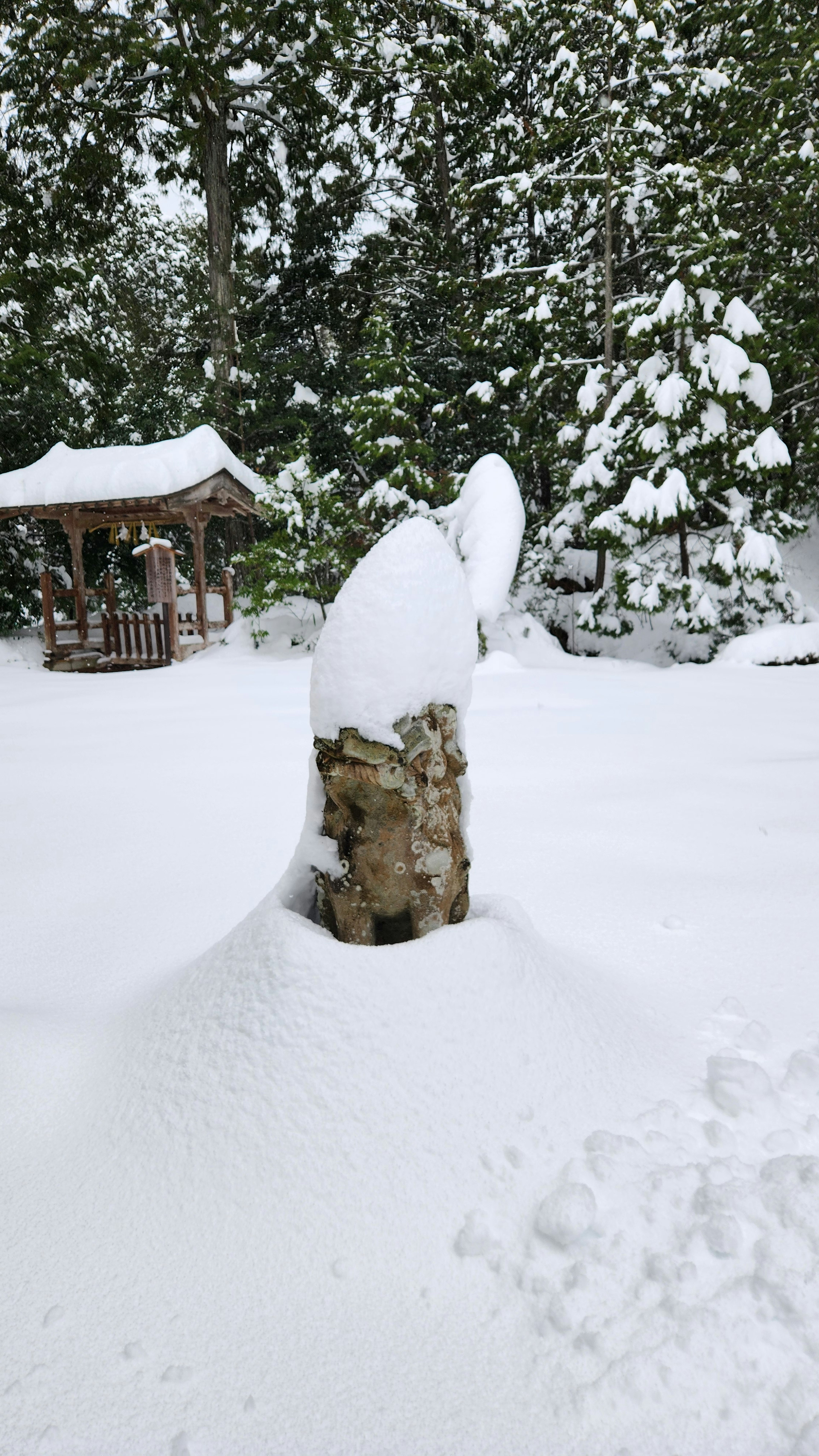 Paesaggio invernale con una roccia coperta di neve e un piccolo gazebo sullo sfondo