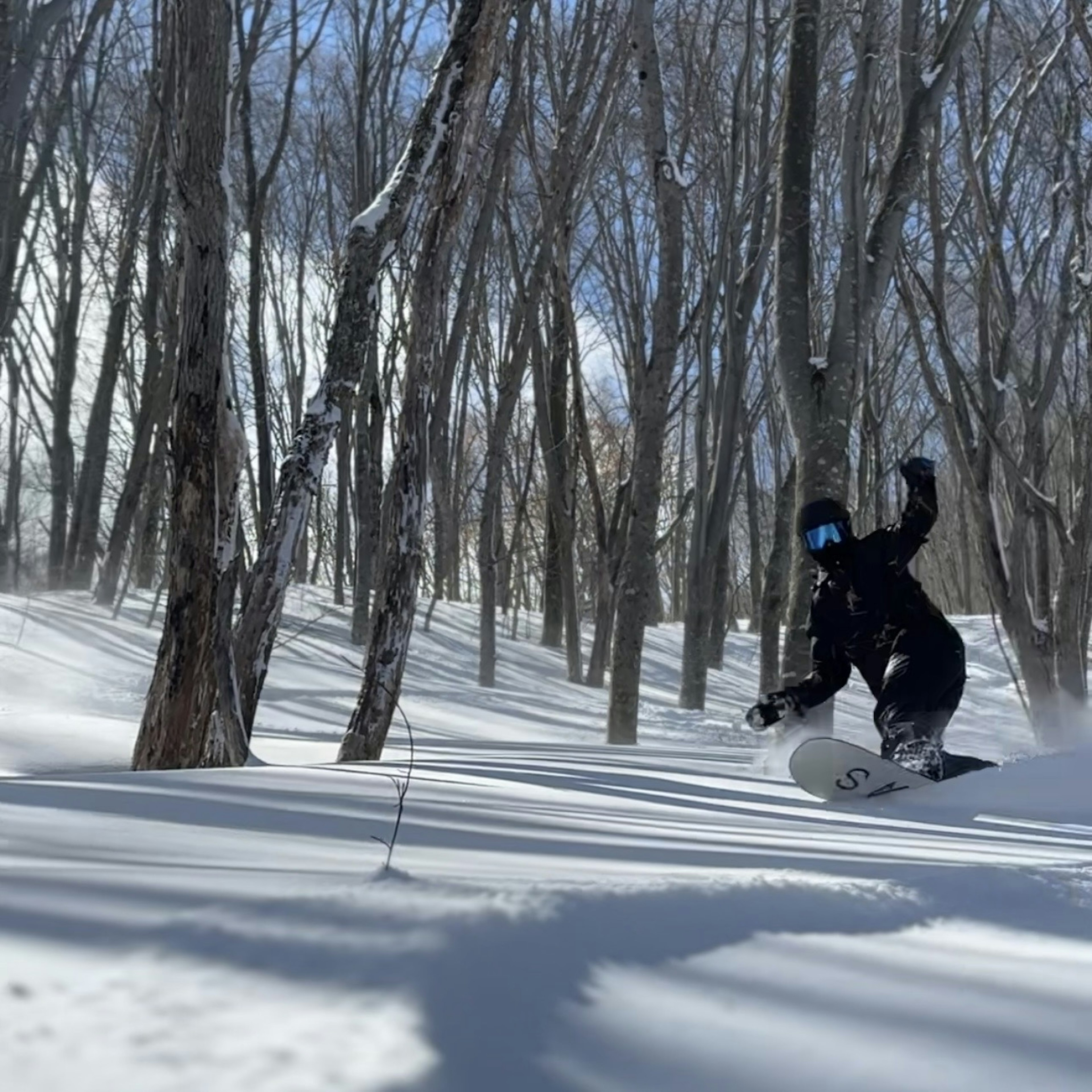 雪の中でスノーボードを楽しむ人物と木々の風景