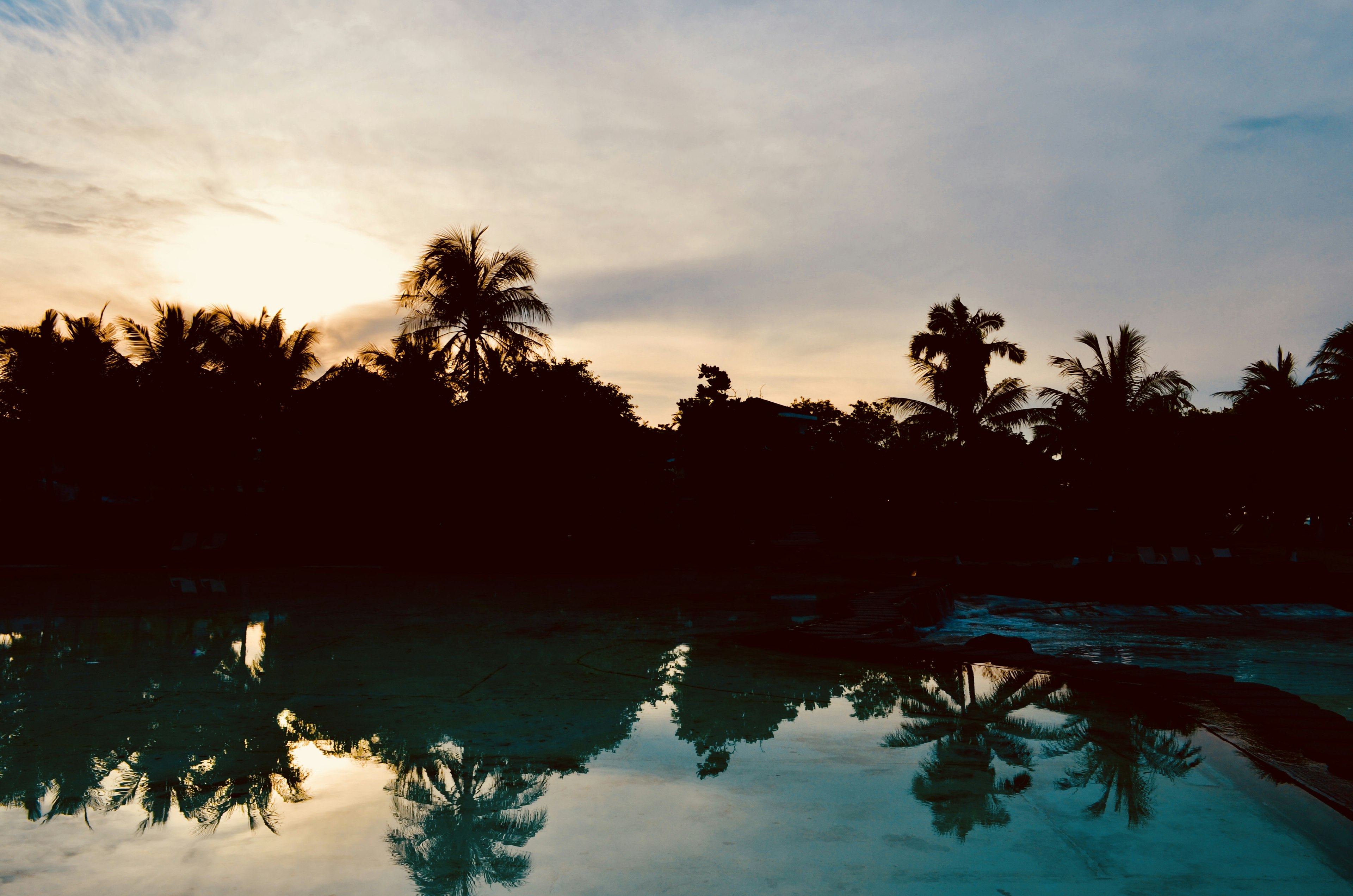 Sonnenuntergangsreflexion von Palmen und Himmel in einem Pool