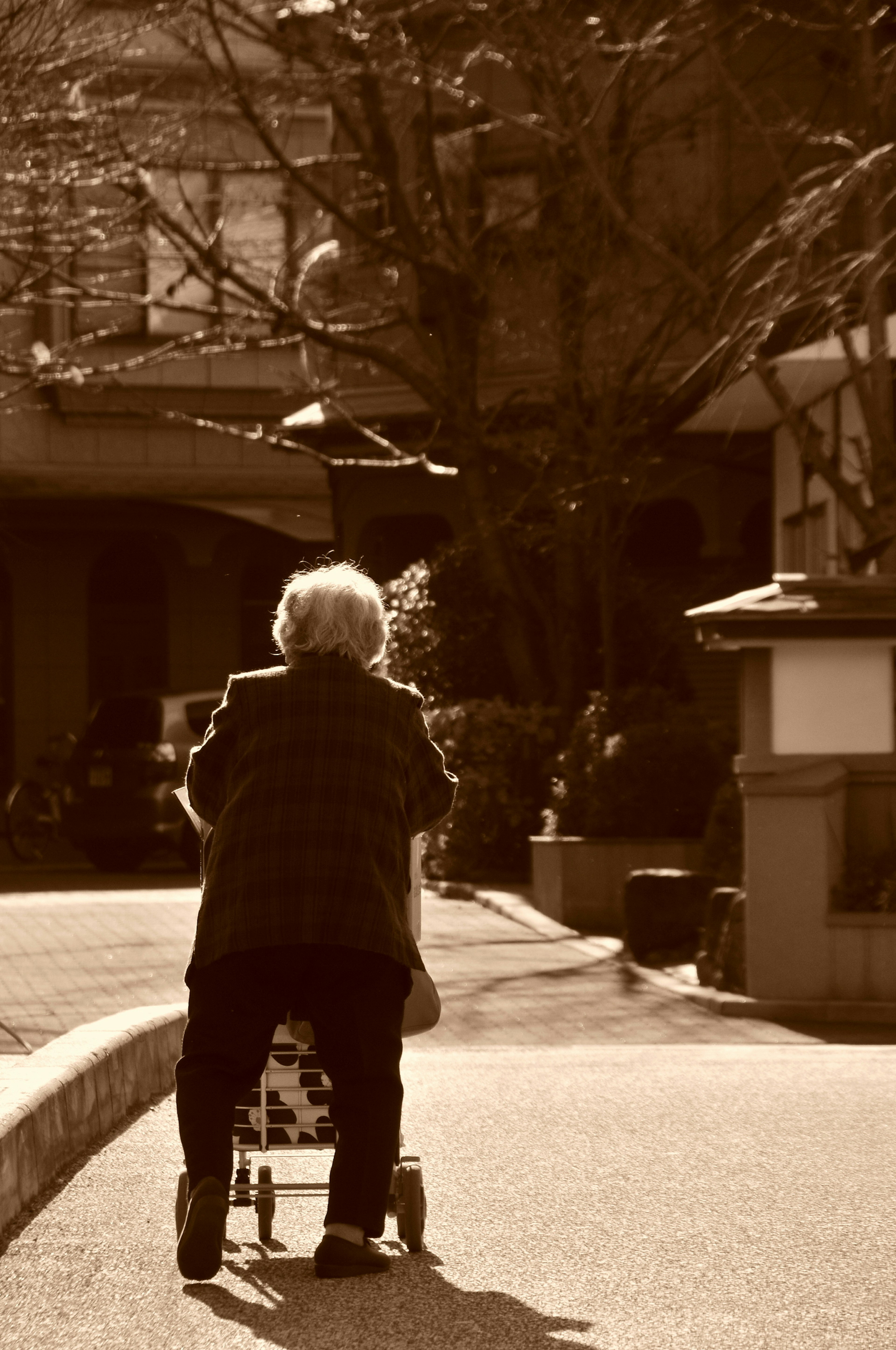 Elderly woman pushing a stroller down a pathway