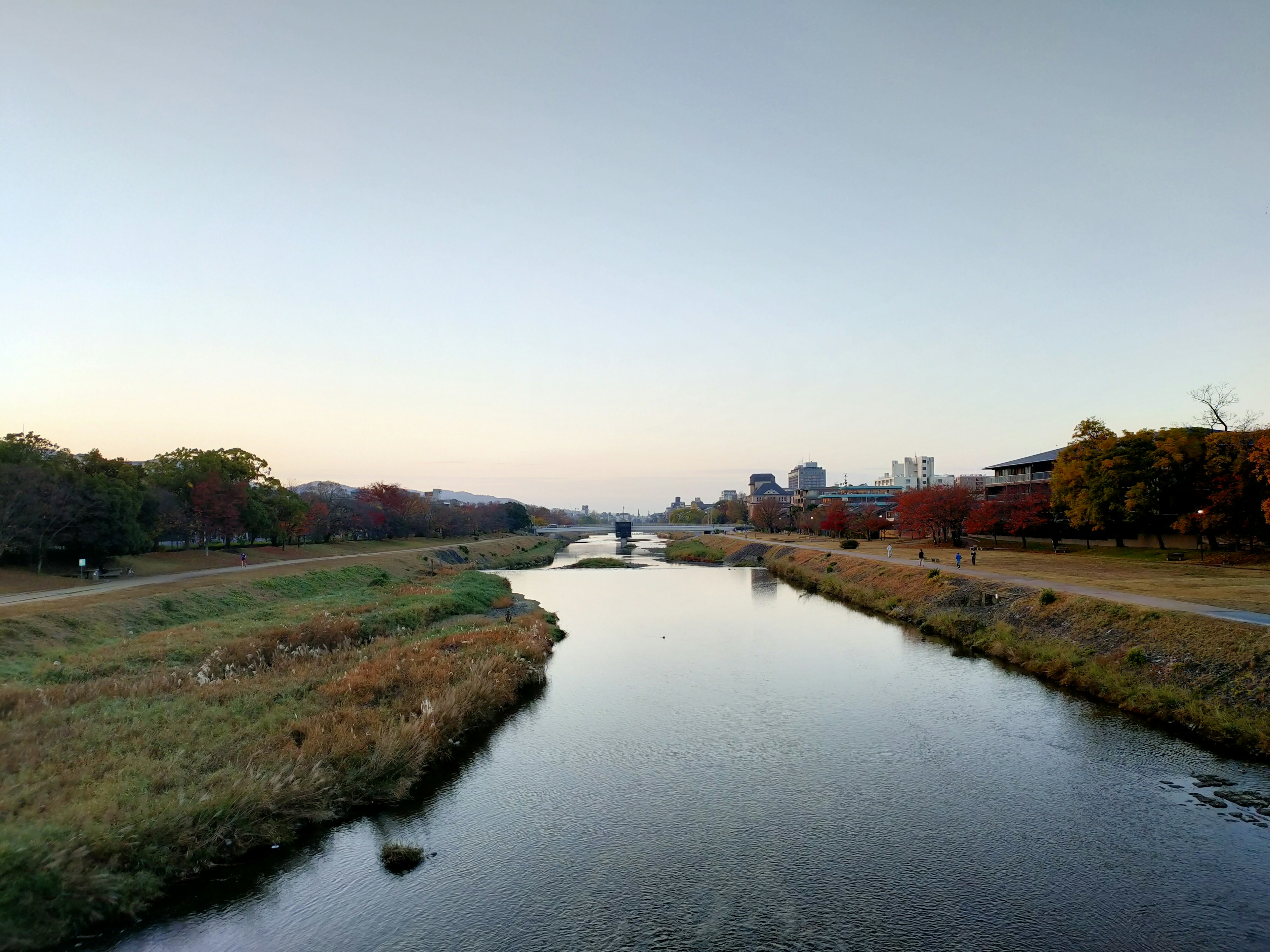 穏やかな川の風景と秋の景色の広がる公園