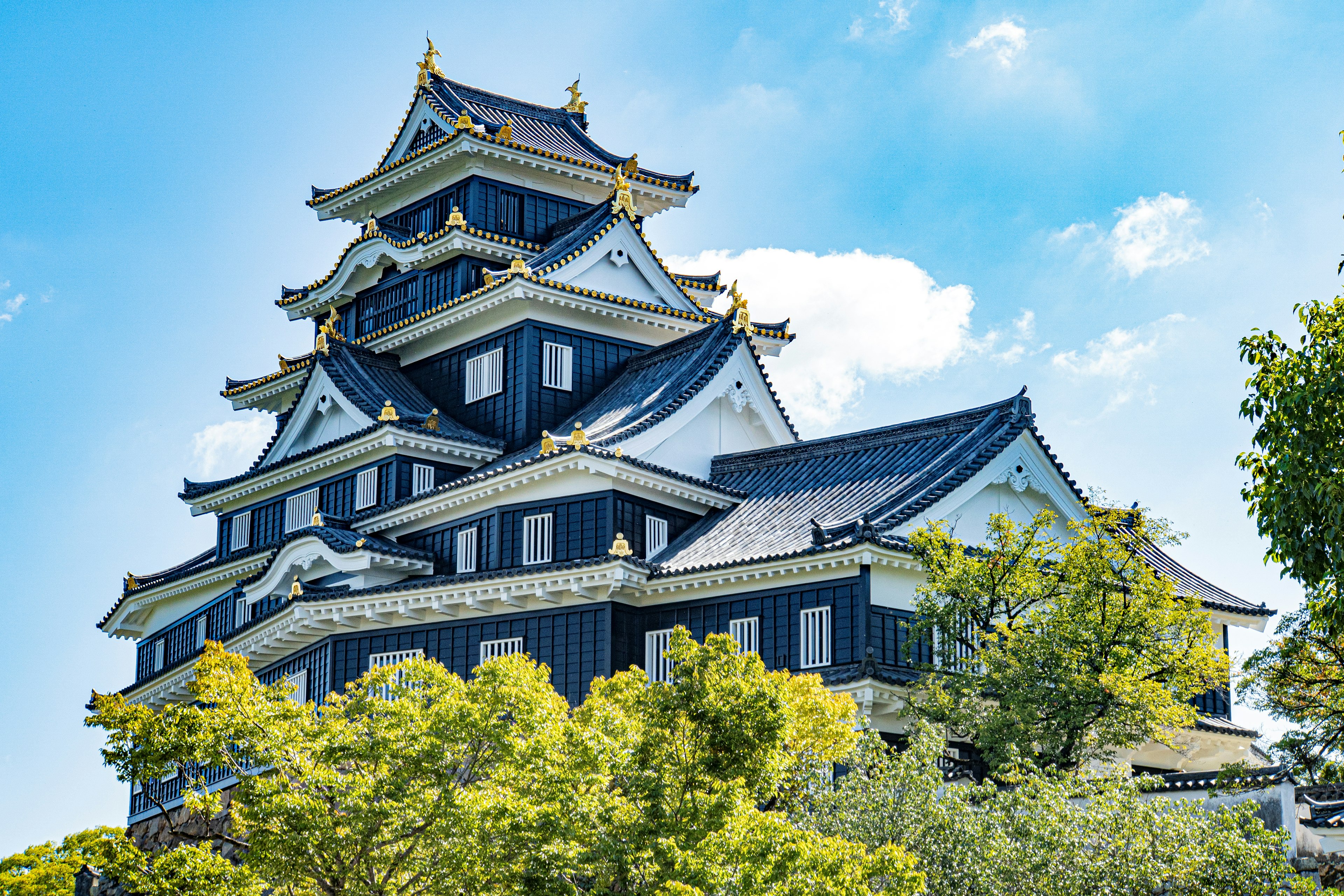 Magnifico esterno del castello di Okayama sotto un bel cielo blu