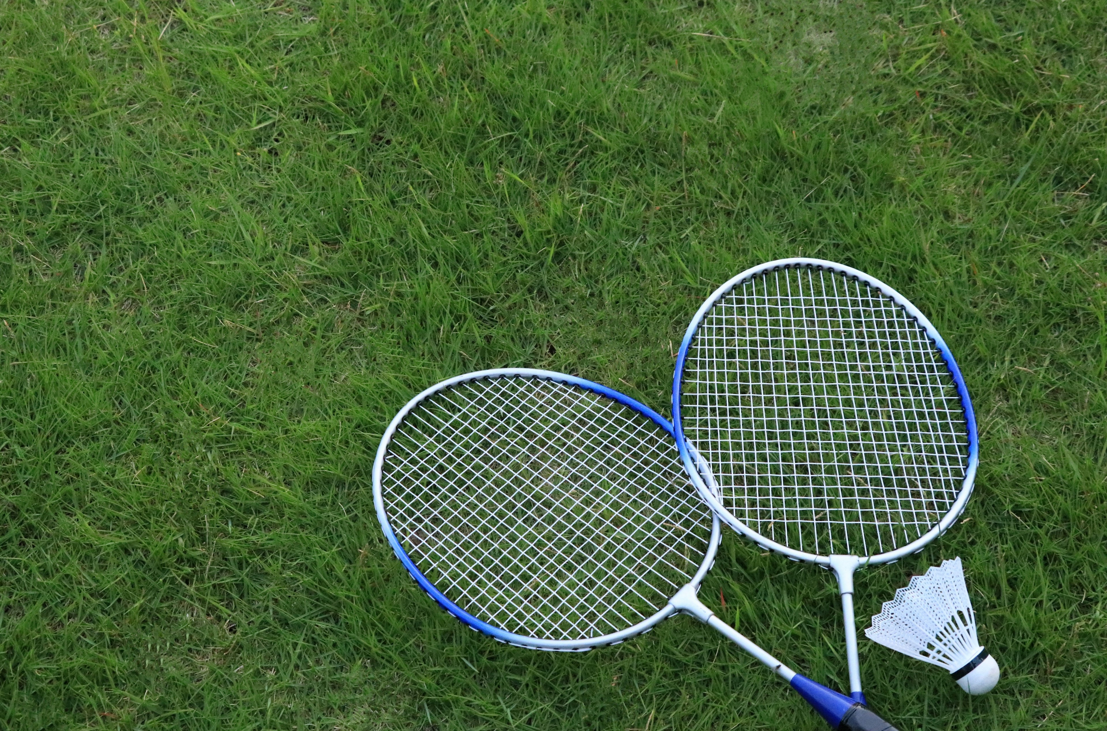 Two badminton rackets and a shuttlecock resting on green grass