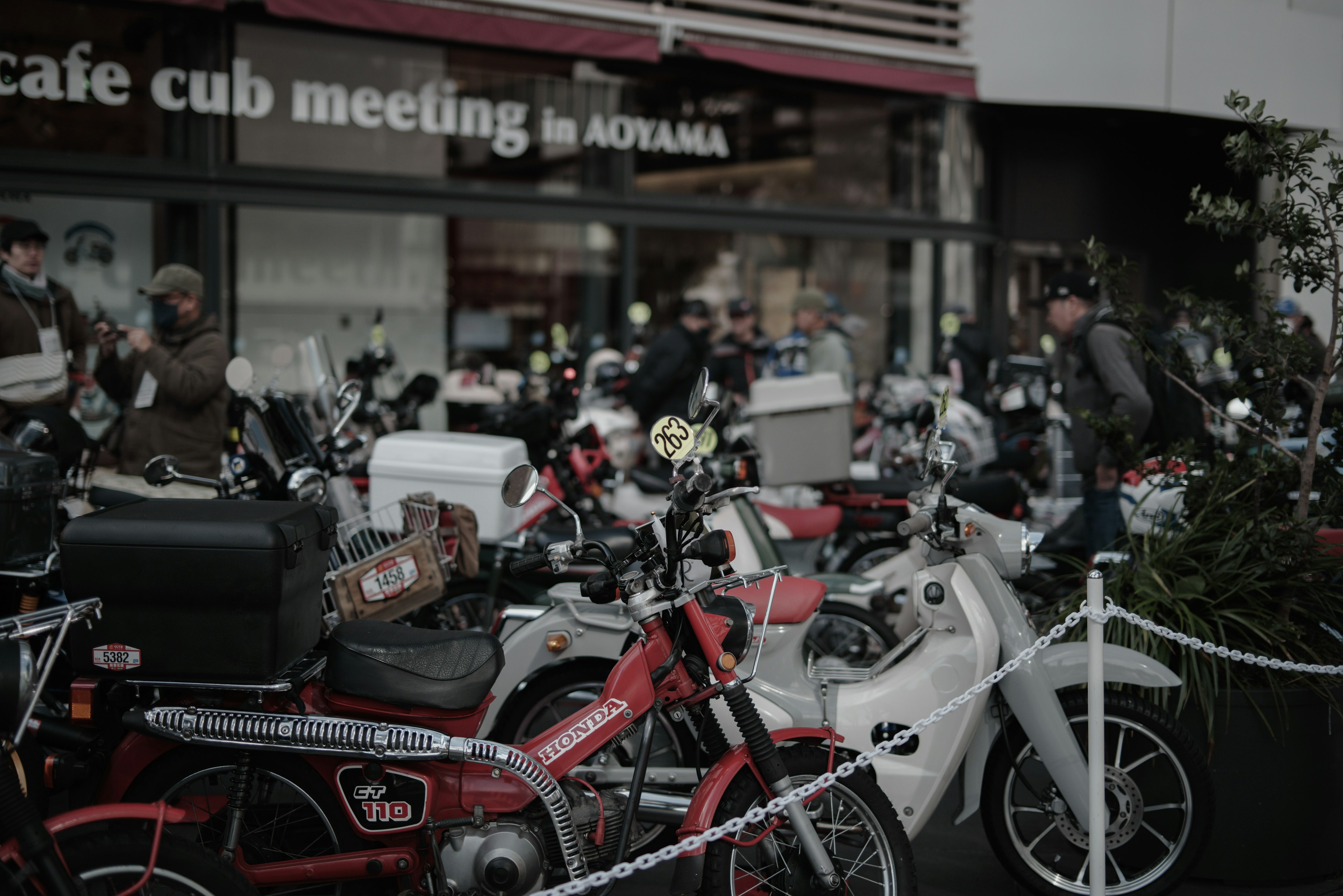 Gathering of motorcycles outside a cafe with various models