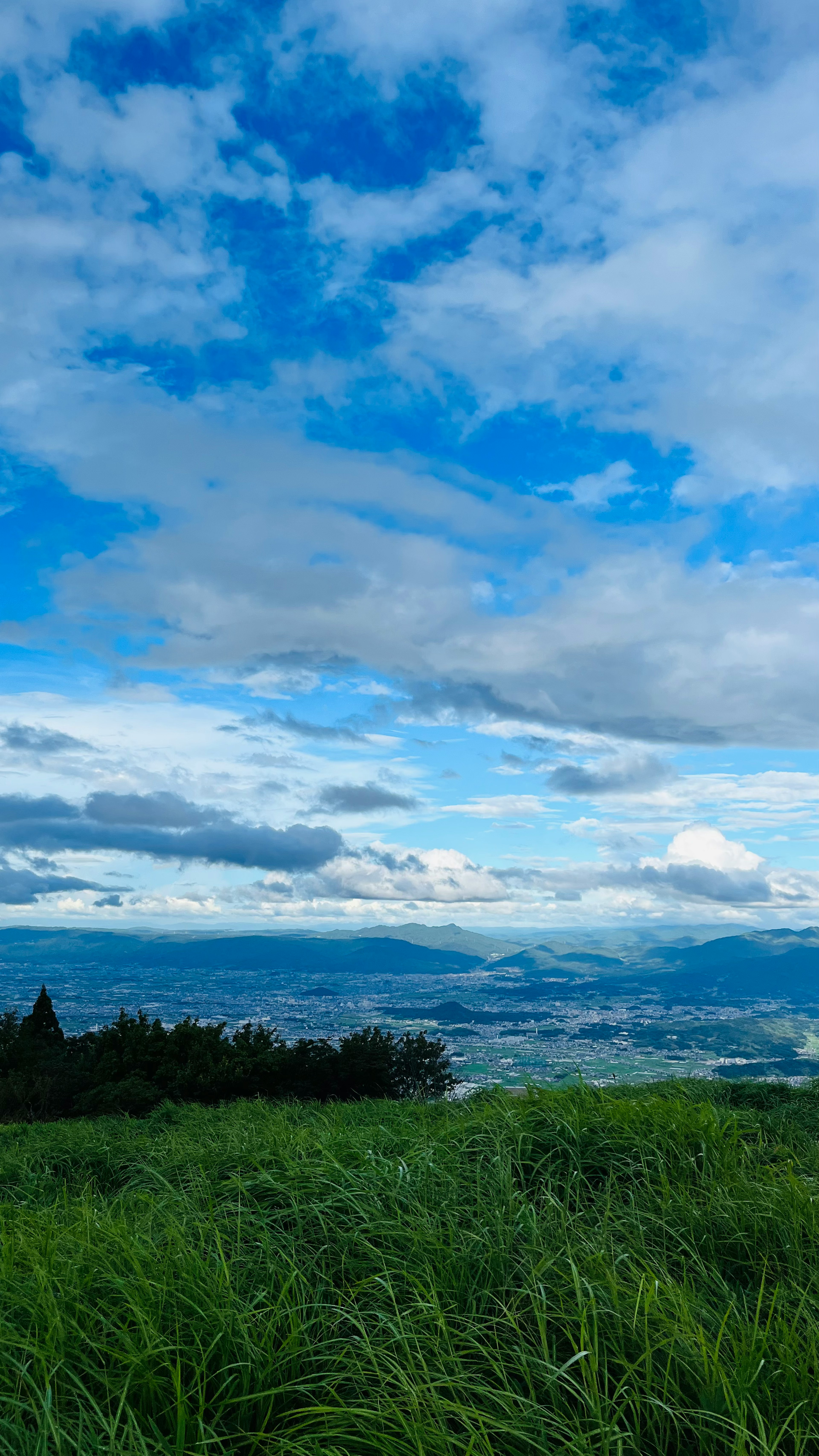 Champ de gazon verdoyant sous un ciel bleu avec des nuages