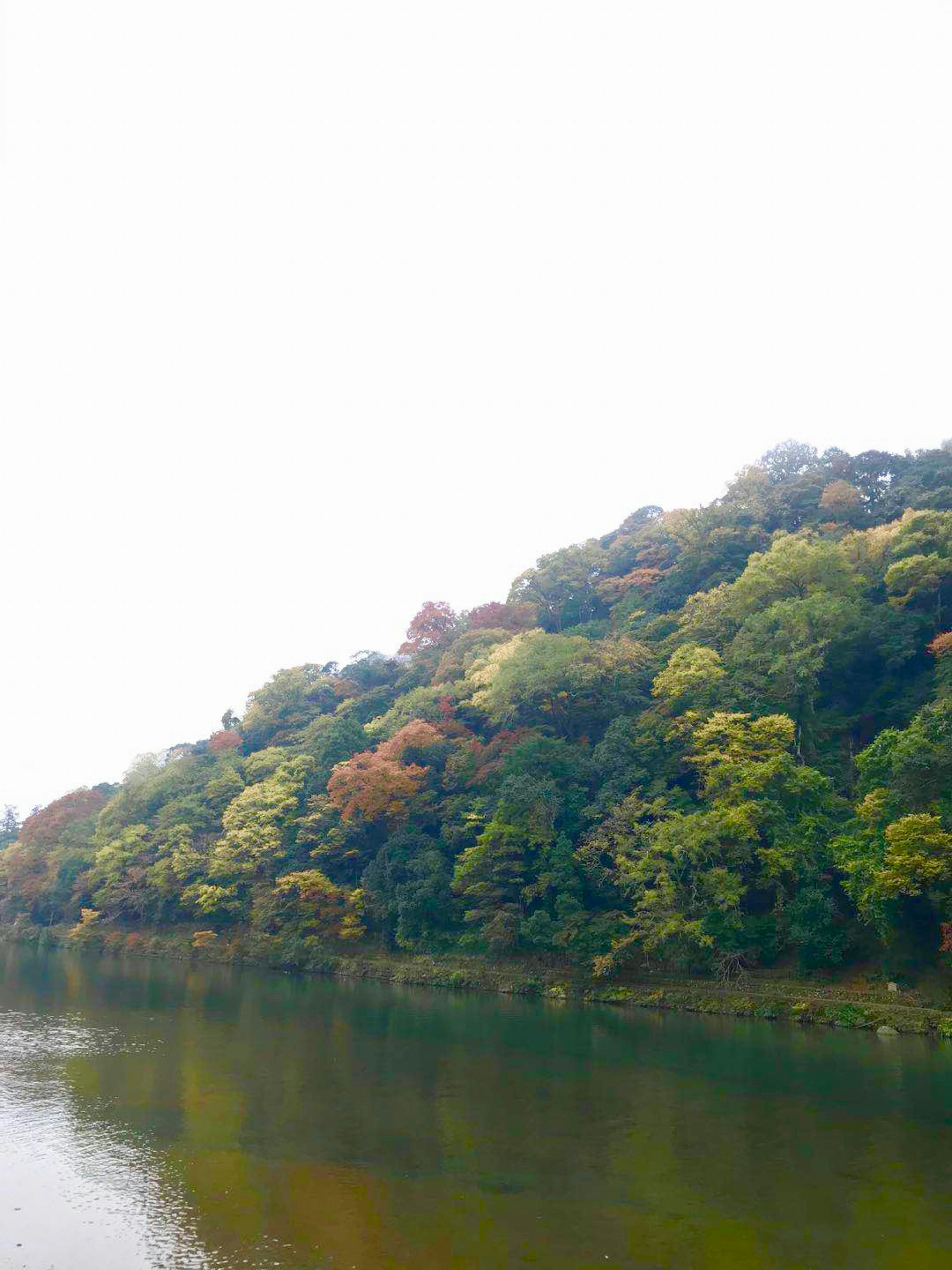 宁静的河流风景，五彩斑斓的树木倒映在水中