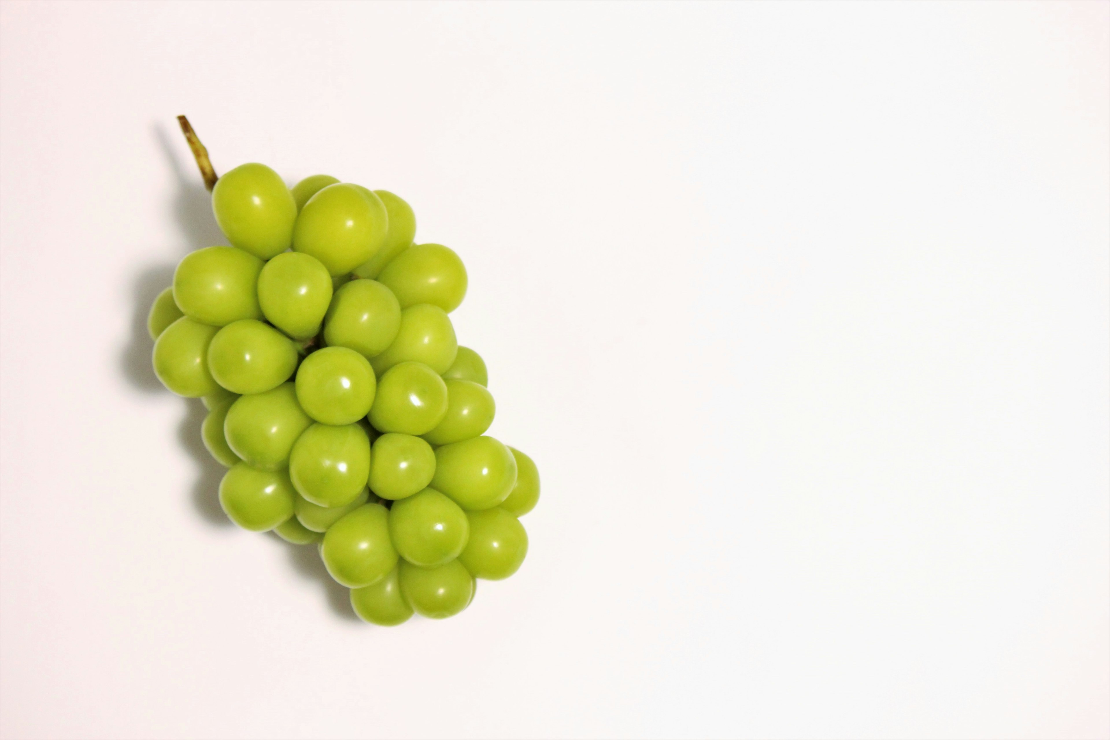 Fresh green grape cluster on a white background