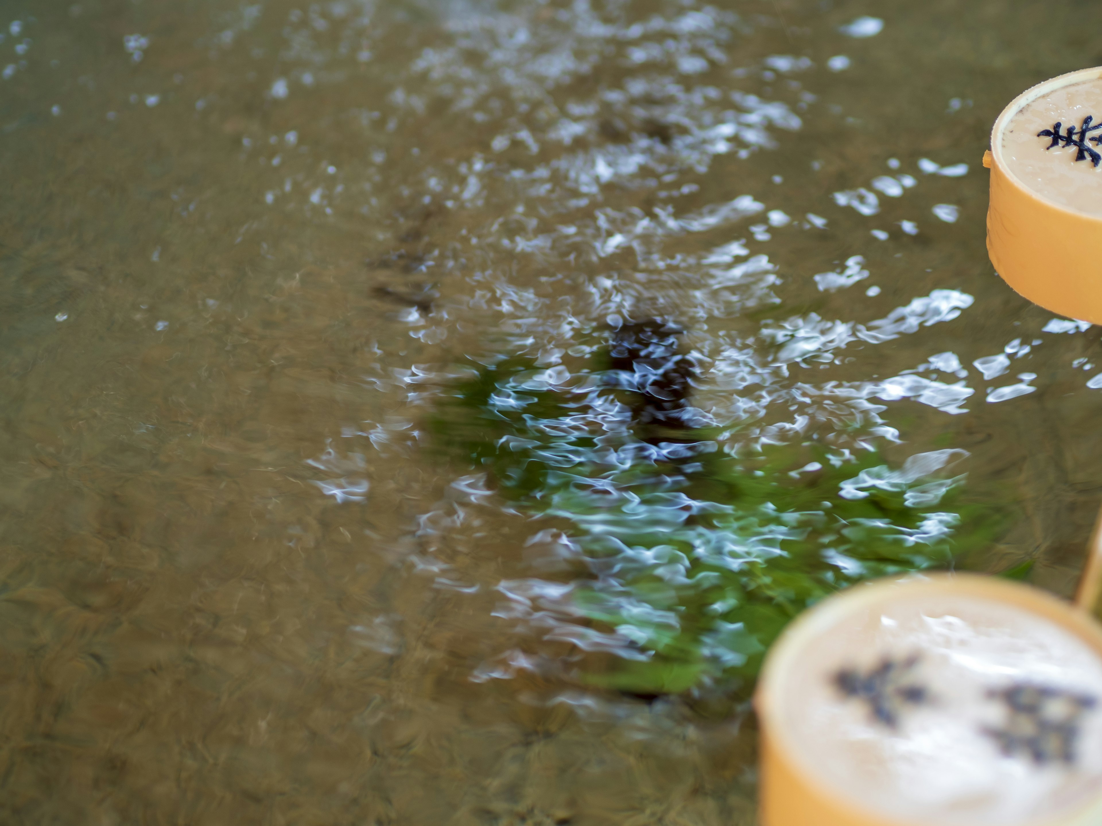 Calm water scene featuring white containers floating and green plants underneath