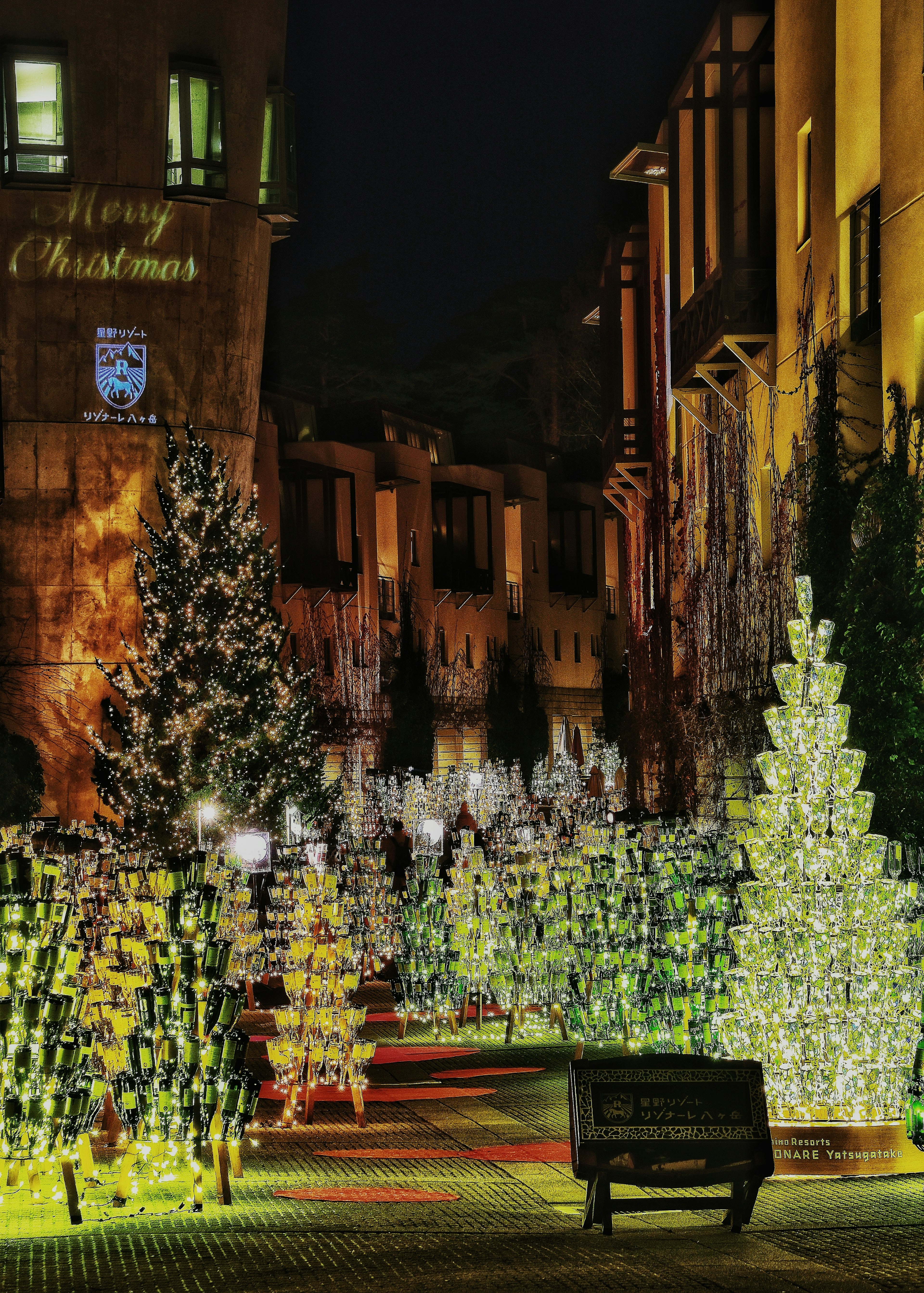 Une belle scène d'arbres de Noël illuminés le long d'une rue la nuit