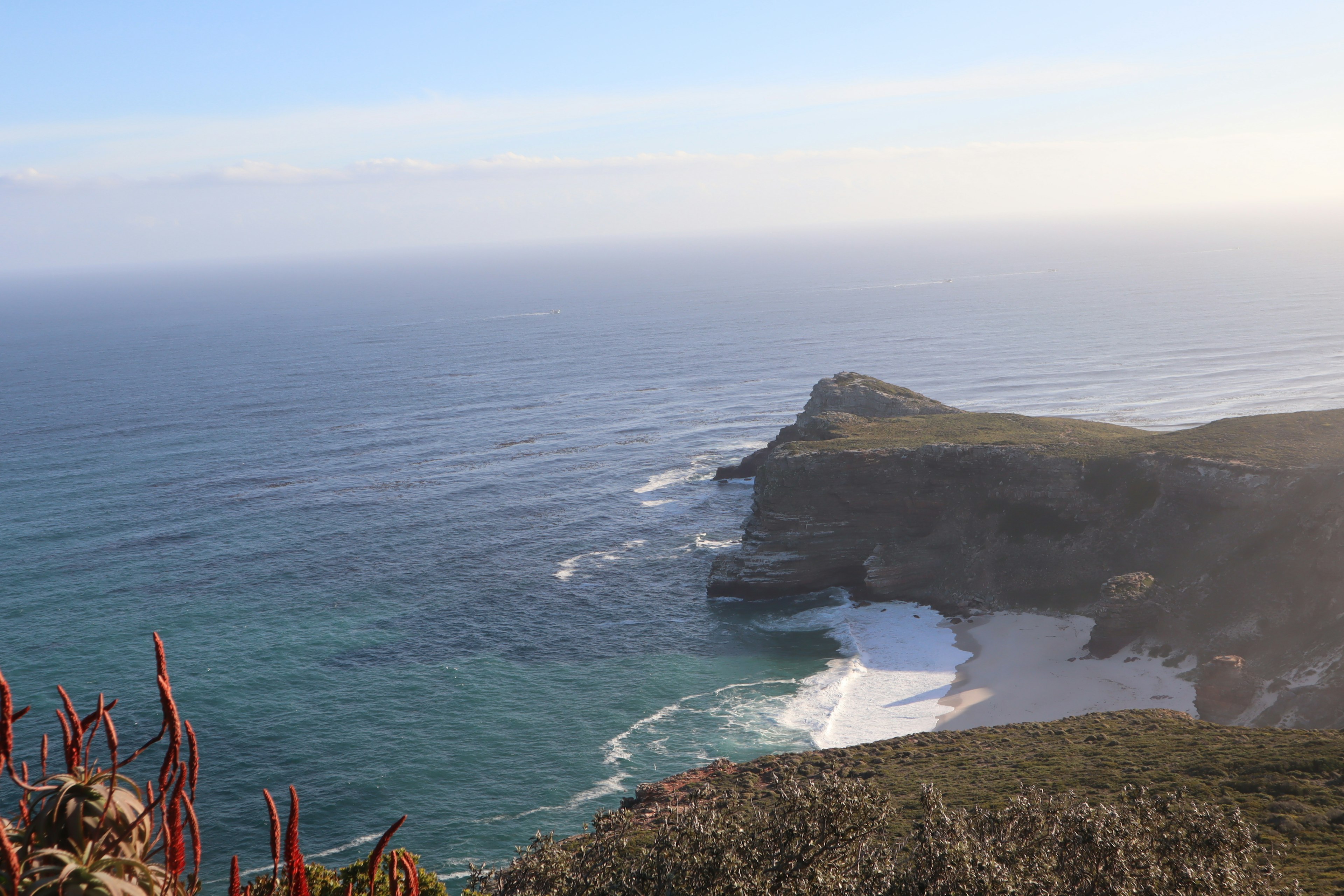 Coastal view with waves and cliffs green plants in the foreground