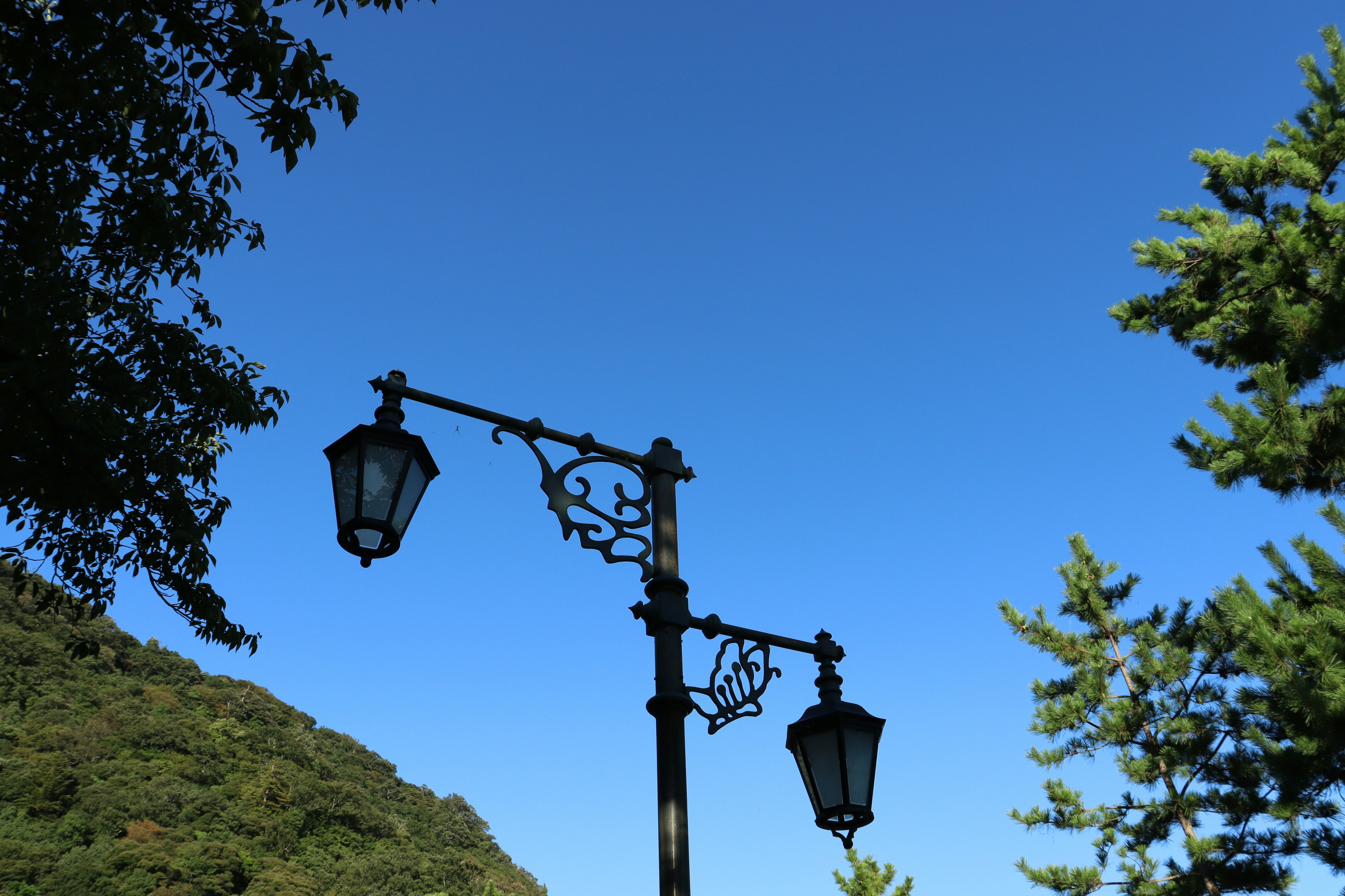 Decorative street lamp under a blue sky with green trees