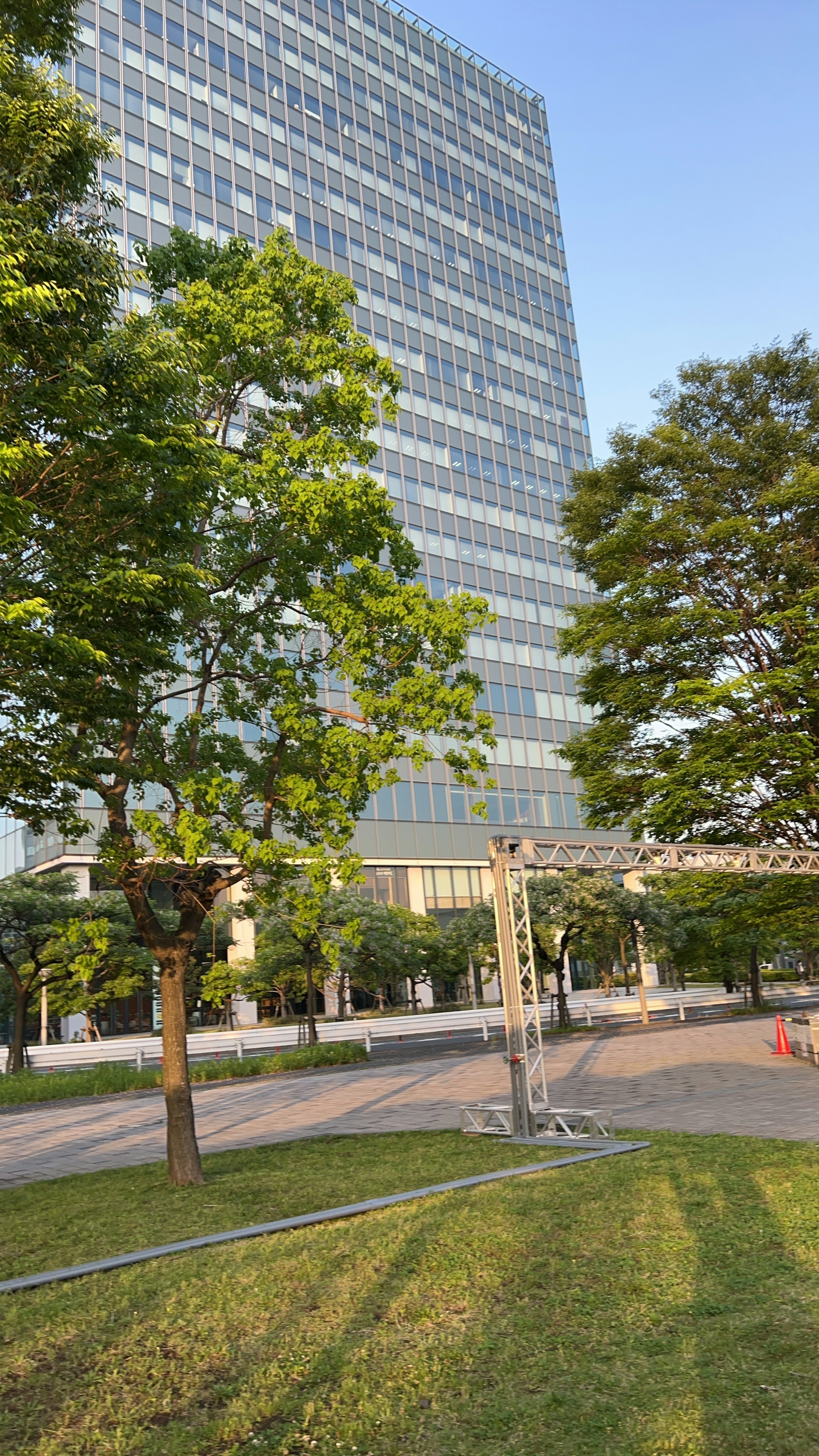 高層ビルと緑の木々がある公園の風景