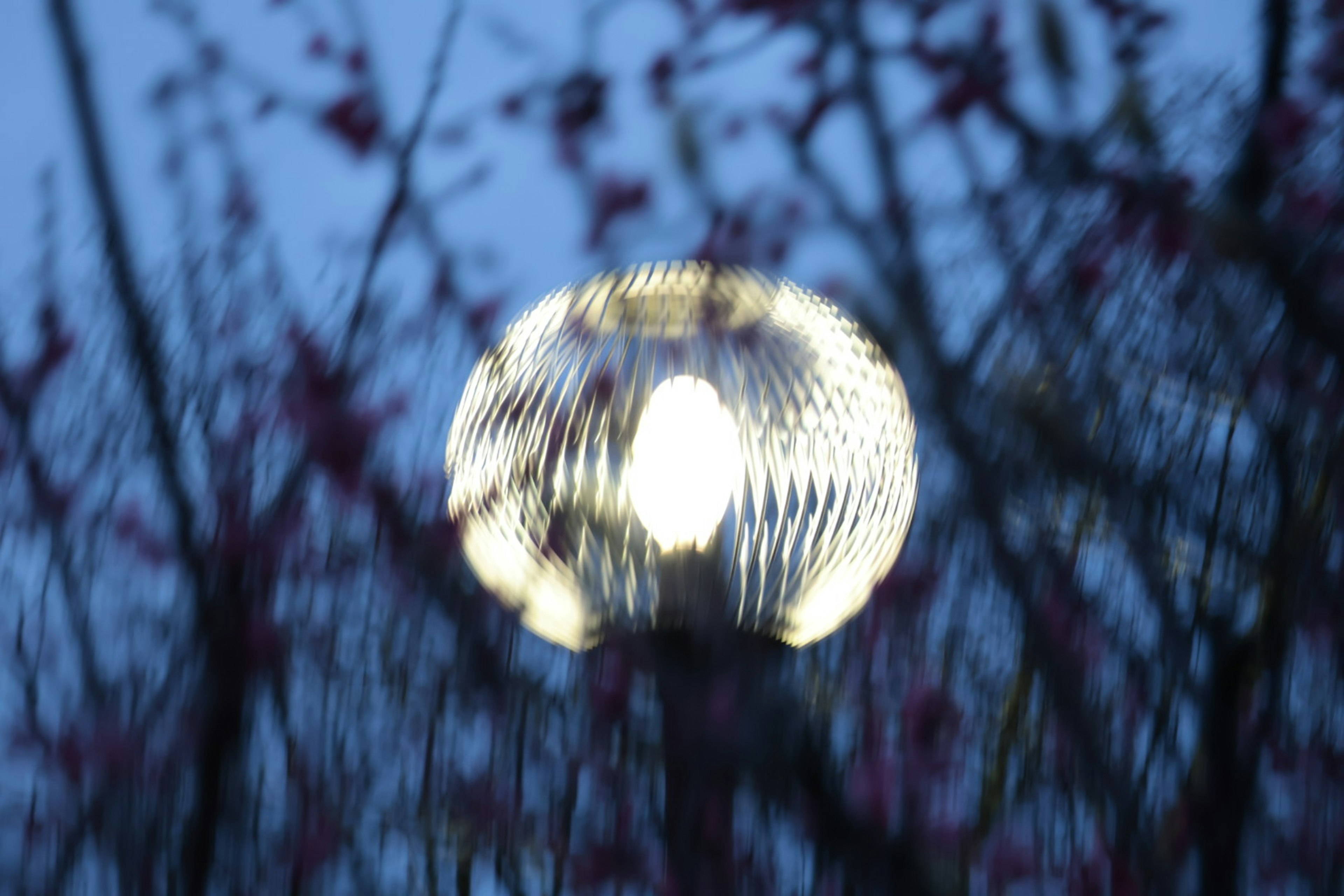 ぼやけた夜の風景の中の照明器具と花のシルエット