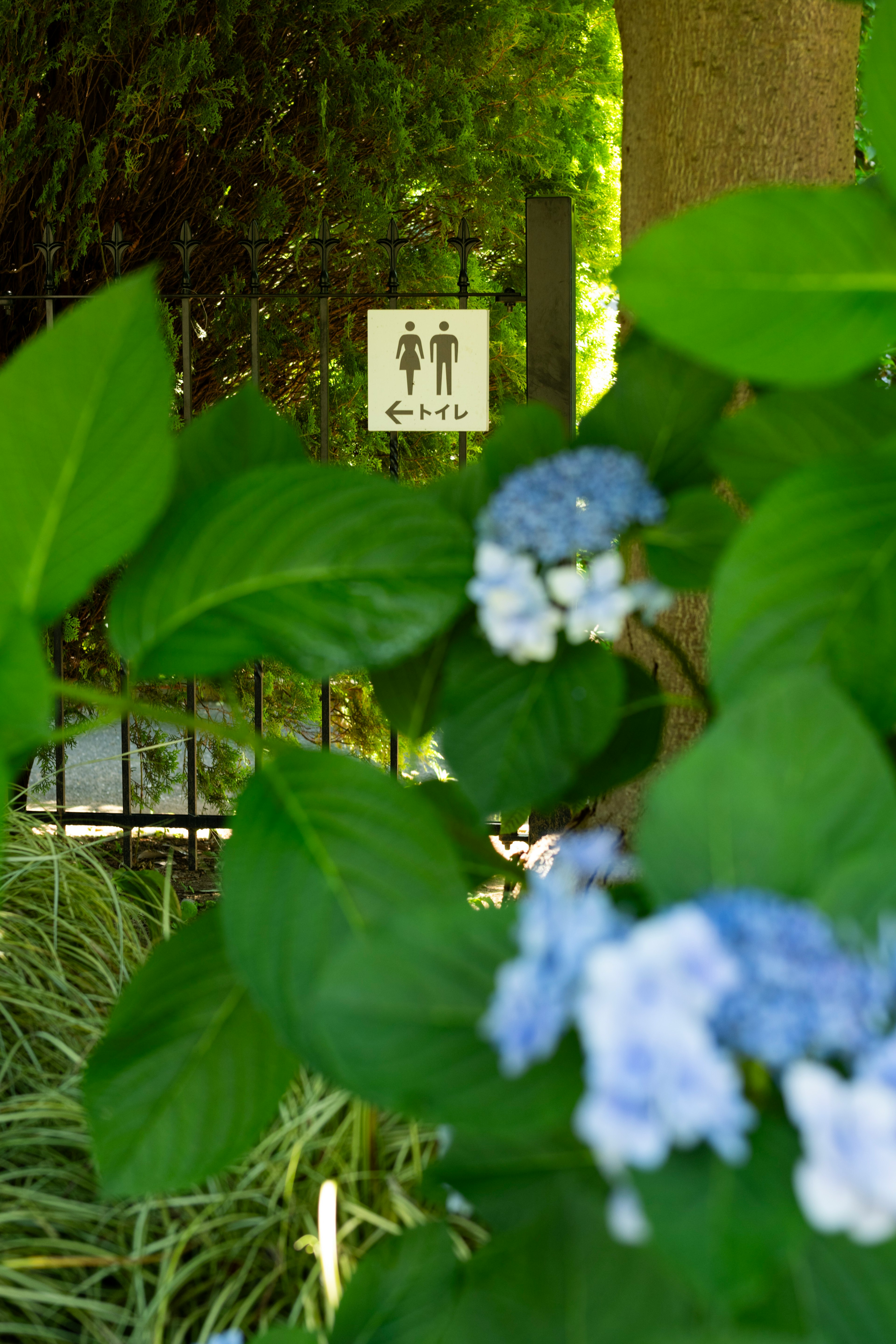 Restroom sign surrounded by green leaves and blue flowers