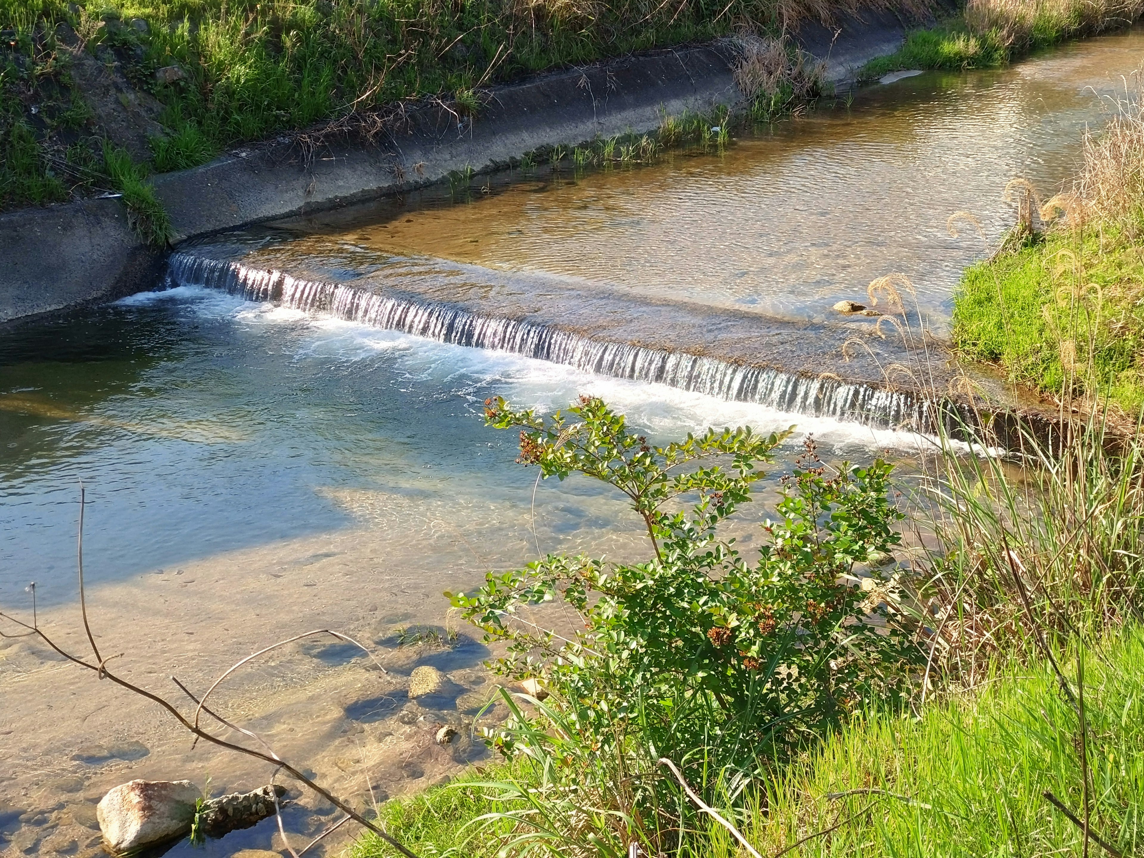 Aliran kecil dengan air terjun dan vegetasi subur